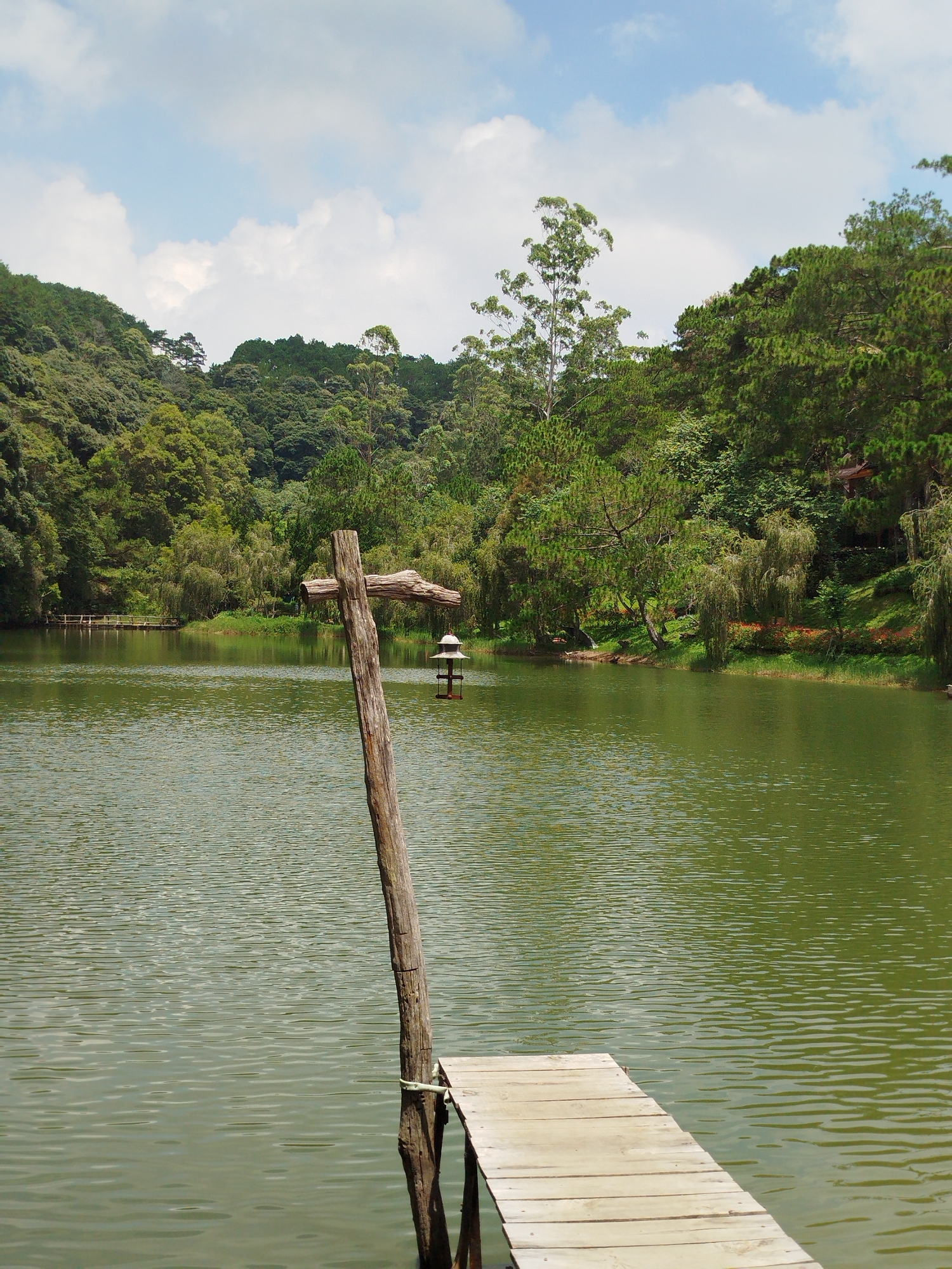 A serene lake scene is captured at Cam Ly Lake in Da Lat, Vietnam, under a partly cloudy sky. The foreground features a wooden pier extending into the greenish water, with a weathered wooden cross structure standing to its left. The cross has a small, traditional-looking lantern hanging from its horizontal beam. The water's surface is rippled, reflecting the surrounding lush greenery. Across the lake, the banks are densely covered with a variety of trees, forming a vibrant green backdrop that slopes upward. In the distance, a small wooden bridge is visible, connecting the two sides of the lake. The overall impression is one of natural tranquility and rustic charm.