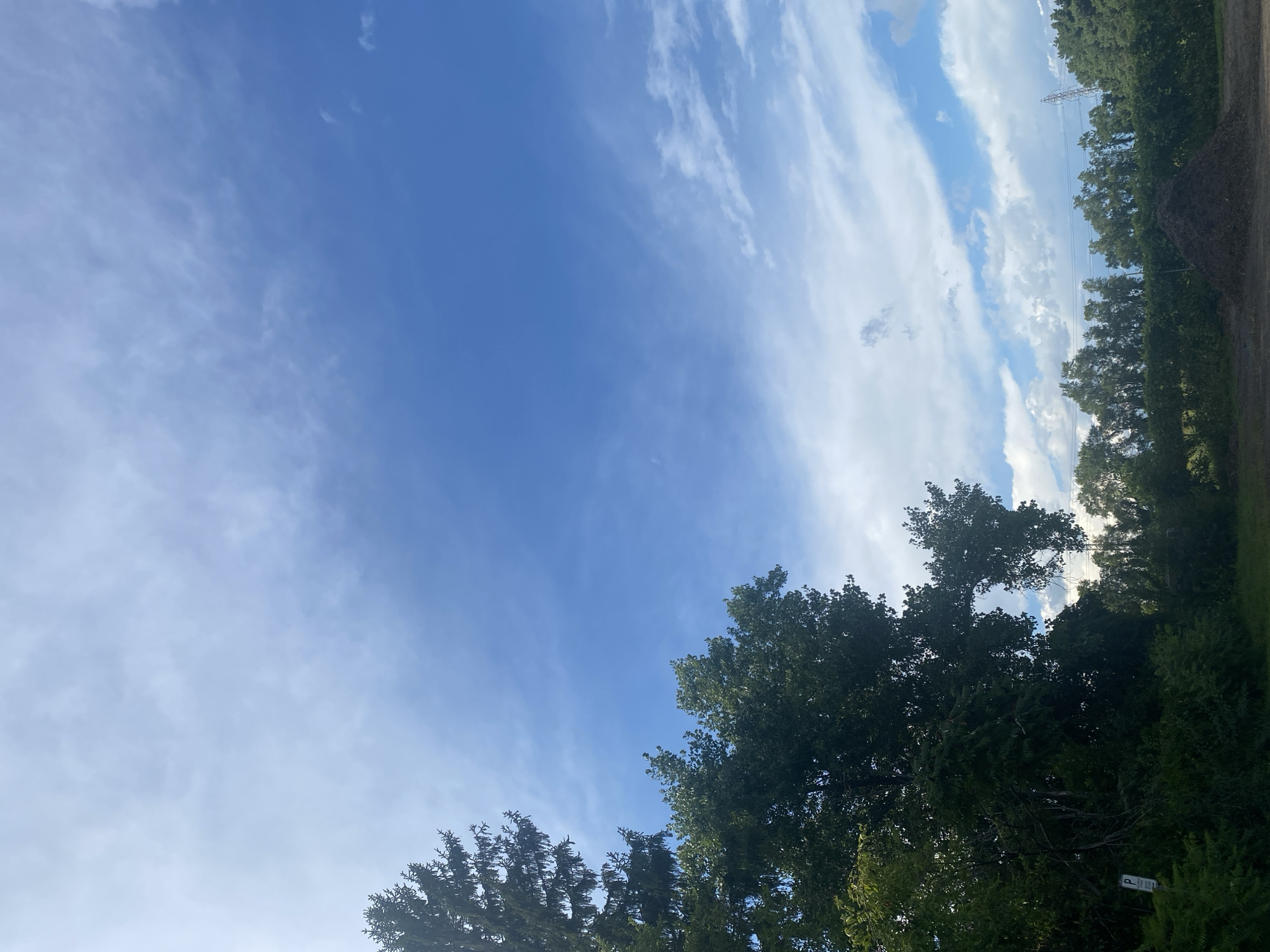 An outdoor scene with a bright blue sky filled with wispy clouds dominates the upper portion of the image. In the lower left, a tall evergreen tree and a dense canopy of green deciduous trees create a dark, leafy foreground. A small "P" parking sign is visible on the left side. The middle ground features a line of trees of varying heights, and to the right, a large pile of dark material, possibly compost or soil, is situated on a dirt ground. Power lines and a utility tower are visible in the distance, stretching across the horizon behind the trees. The overall impression is that of a natural or semi-developed area in Sainte-Anne-de-Bellevue, Canada, likely during daylight hours with moderate cloud cover.