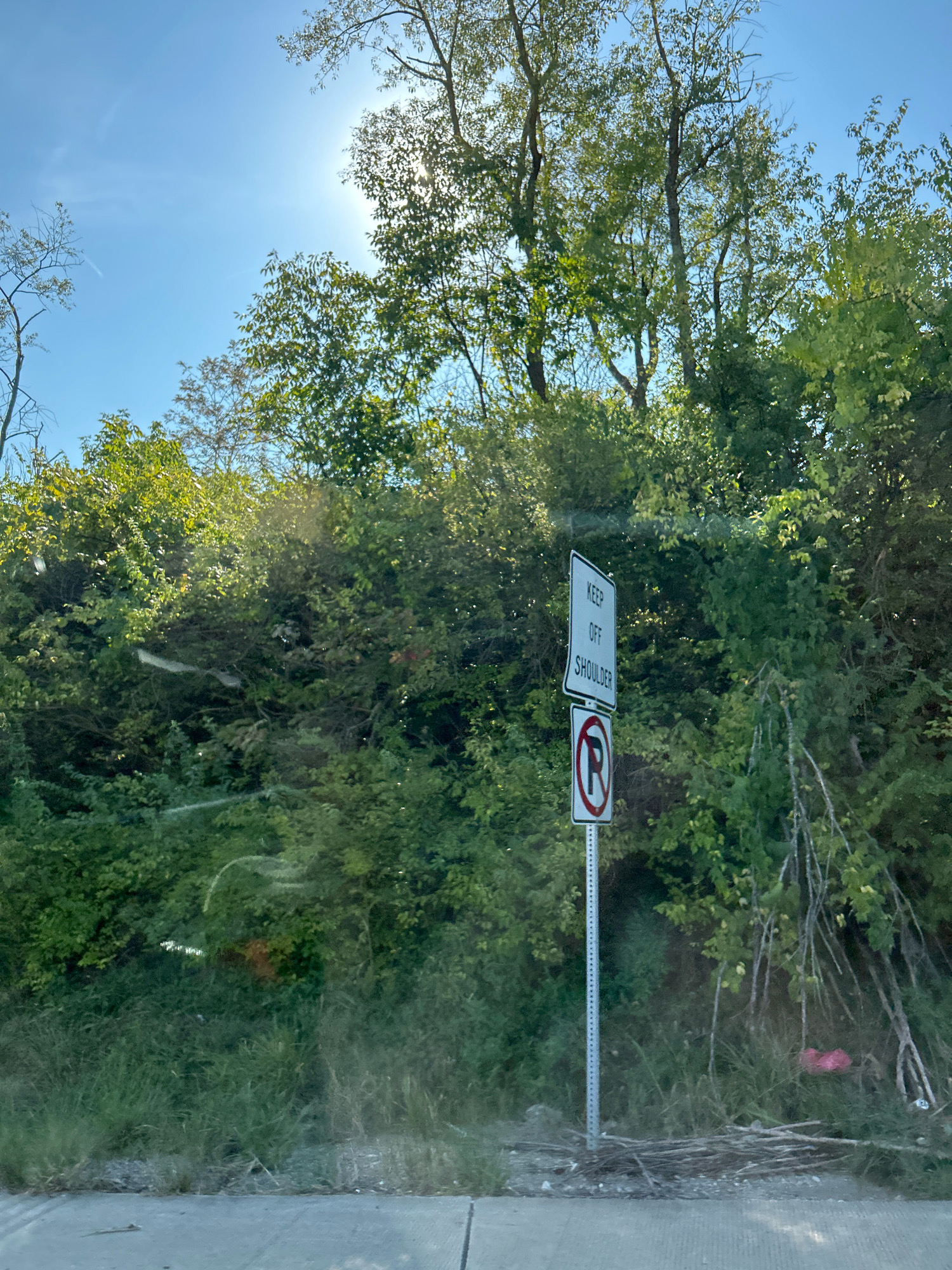 This is a photograph taken on a sunny day from a slightly elevated perspective, possibly from a vehicle. The foreground shows a concrete surface, likely a road or sidewalk, with some debris scattered on it. Behind this, a grassy embankment rises, covered in dense green foliage and trees.
Prominently featured on the embankment is a metal post supporting two signs. The top sign is rectangular and white with black lettering that reads "KEEP OFF SHOULDER". Below this is a circular sign with a red border and a red diagonal line through a black letter "R" on a white background, indicating no parking. The signs are set against a backdrop of lush greenery, with sunlight filtering through the leaves of trees. The sky above is bright blue, with the sun partially obscured by tree branches. In the background, more trees and vegetation are visible, creating a natural, somewhat overgrown environment. There is some litter visible on the ground near the base of the embankment, including a pink plastic bag and some branches. The overall scene suggests a roadside or natural area adjacent to a paved surface.