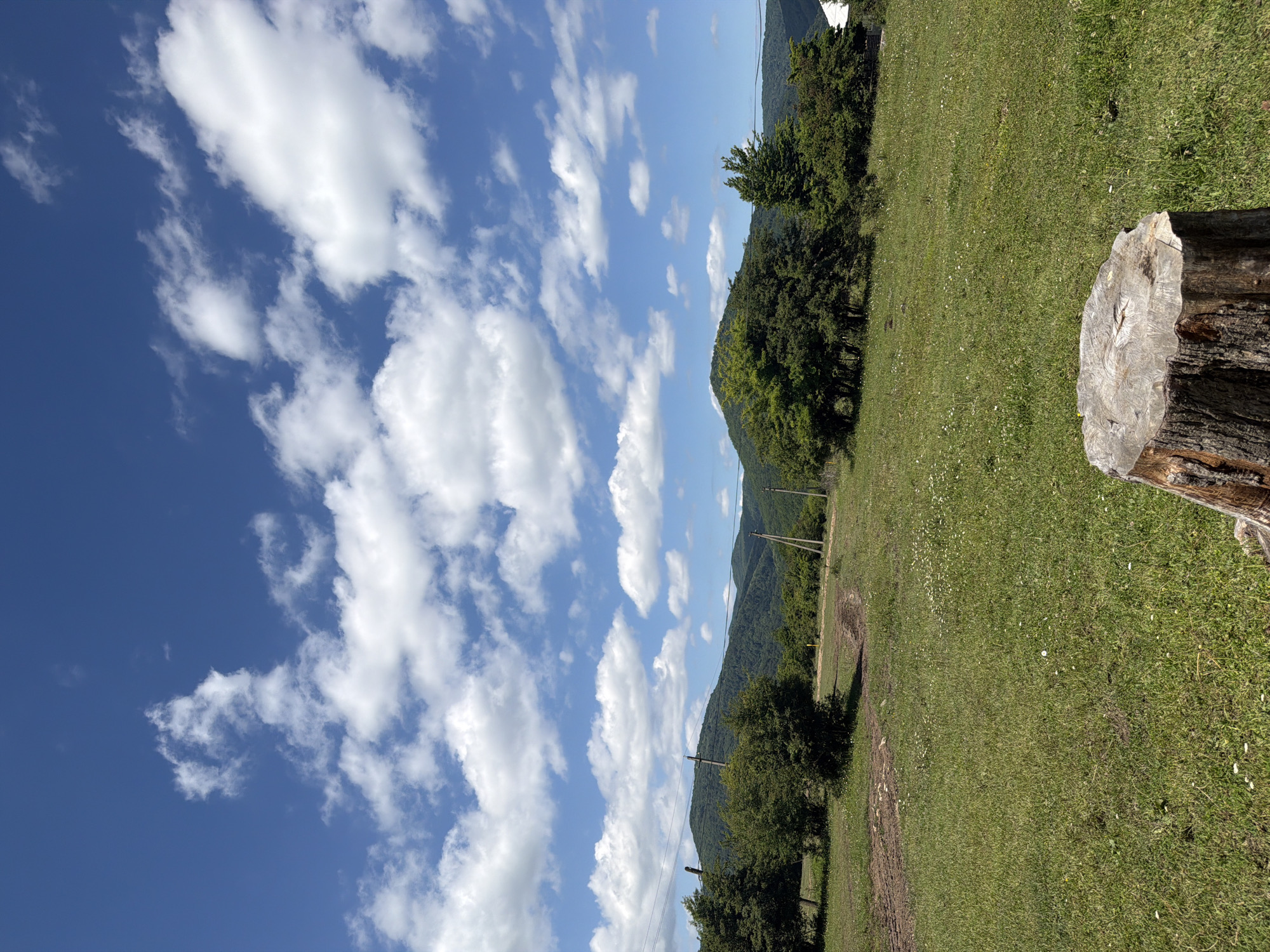 The image depicts a serene, pastoral landscape under a bright blue sky dotted with fluffy white clouds. The foreground features a weathered tree stump, its rough texture and rings clearly visible. Beyond the stump, a lush green meadow stretches out, interspersed with small white wildflowers. A dirt track winds its way through the grass, leading towards a line of trees and shrubs. In the middle ground, rolling hills covered in dense green foliage rise, forming a backdrop to the scene. Several utility poles with power lines are visible, hinting at the presence of human infrastructure. The overall impression is one of a peaceful, natural setting. The image is a photograph taken in the city of Kamennomostskiy, Russia, likely during daylight hours. There are no people or animals visible in the frame, and no specific actions or interactions are captured.
