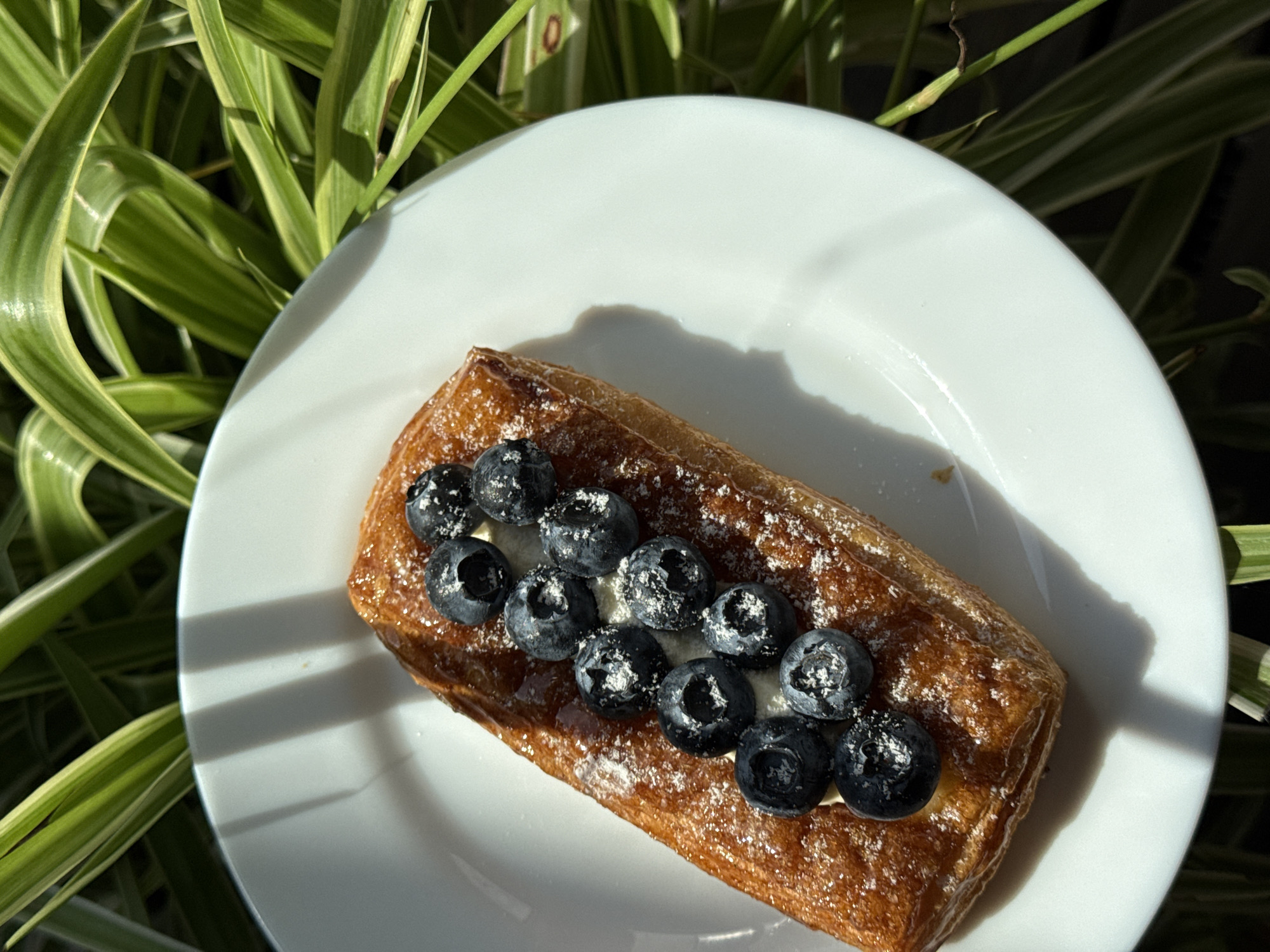 A high-angle close-up shot depicts a rectangular pastry topped with blueberries and powdered sugar, resting on a white plate. The plate is set against a backdrop of green and white striped leaves, possibly from a plant. The lighting is bright, casting shadows across the plate and pastry. There is no information to indicate the location is Moscow, Russia, and no people are visible in the scene.