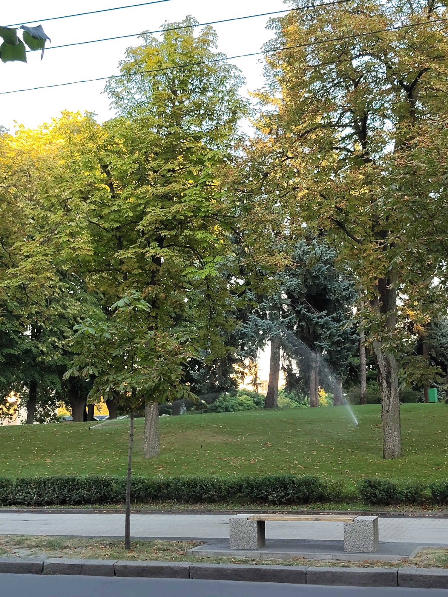 The image depicts a park scene with lush green grass, mature trees with autumnal foliage, and a paved walkway. In the foreground, a modern bench made of stone and wood sits on the walkway. Behind the bench, a sprinkler is actively watering the grass, creating a visible mist. Power lines are visible in the upper portion of the image. The scene suggests a tranquil, well-maintained urban park setting, likely in Chișinău, Moldova, given the typical landscaping and public amenities found in the city. There are no people visible in the frame. The lighting suggests it is late afternoon or early evening.