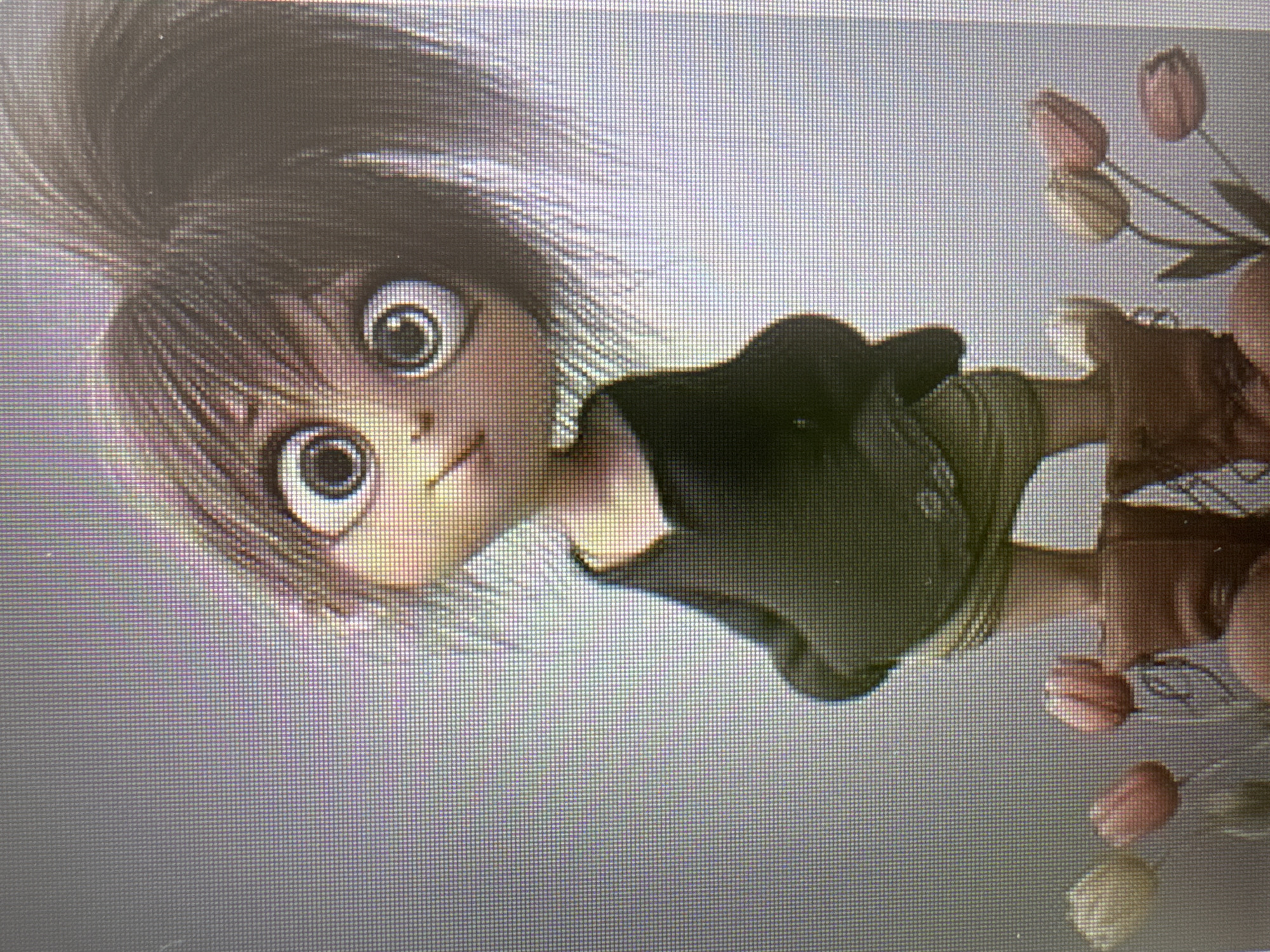 The image displays a stylized, animated character, resembling a young person with large, expressive eyes and prominent, messy brown hair that stands up in spikes. The character's skin is fair, and they have a small nose and mouth. They are wearing a dark, possibly greenish-black, long-sleeved shirt and what appears to be green shorts or a skirt. Brown, sturdy-looking boots cover their feet.
The character is standing and holding a bouquet of several tulips in their right hand. The tulips are a mix of pink and lighter, possibly cream or yellow, hues, some appearing to be fully open while others are still partially closed. The character's gaze is directed slightly upwards and to the viewer's left, with an innocent, wide-eyed, and curious expression.
The background is a plain, light grey or off-white color, offering no specific location cues. The overall impression is that of a charming, whimsical illustration or digital rendering.
Notably, the image provided is a photograph of a screen, which introduces a visible pixelation grid and moiré patterns, especially noticeable in the crops. The original image is rotated 90 degrees clockwise. There is no visible text in the image. Time of day or specific weather conditions are not discernible.