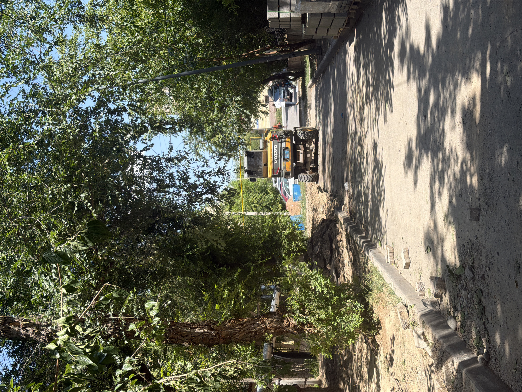 The image captures a street scene in Shymkent, Kazakhstan, under a bright, sunny sky. The foreground is dominated by a dirt road, suggesting ongoing construction or repair work. Along the right side of the road, stacks of gray paving stones or concrete blocks are neatly arranged on wooden pallets, indicating materials for the construction. A concrete curb runs along the left side of the road, with several bricks scattered on and around it, some of which appear to have been dislodged.
Further down the road, a yellow Volvo backhoe loader is positioned facing away from the viewer. It has the word "VOLVO" prominently displayed on its rear. In the background, several vehicles are parked or driving, including a dark-colored SUV with items on its roof and a white car. A few individuals are visible, one walking in the middle of the road and others near the parked vehicles.
The scene is framed by lush green trees on both sides of the road, their leaves casting dappled shadows on the dirt path and creating a sense of a tree-lined avenue. The presence of construction materials, the backhoe, and the disturbed curb suggest that this is an active work zone within a residential or urban area of Shymkent. A yellow gas pipe is also visible running horizontally in the background.