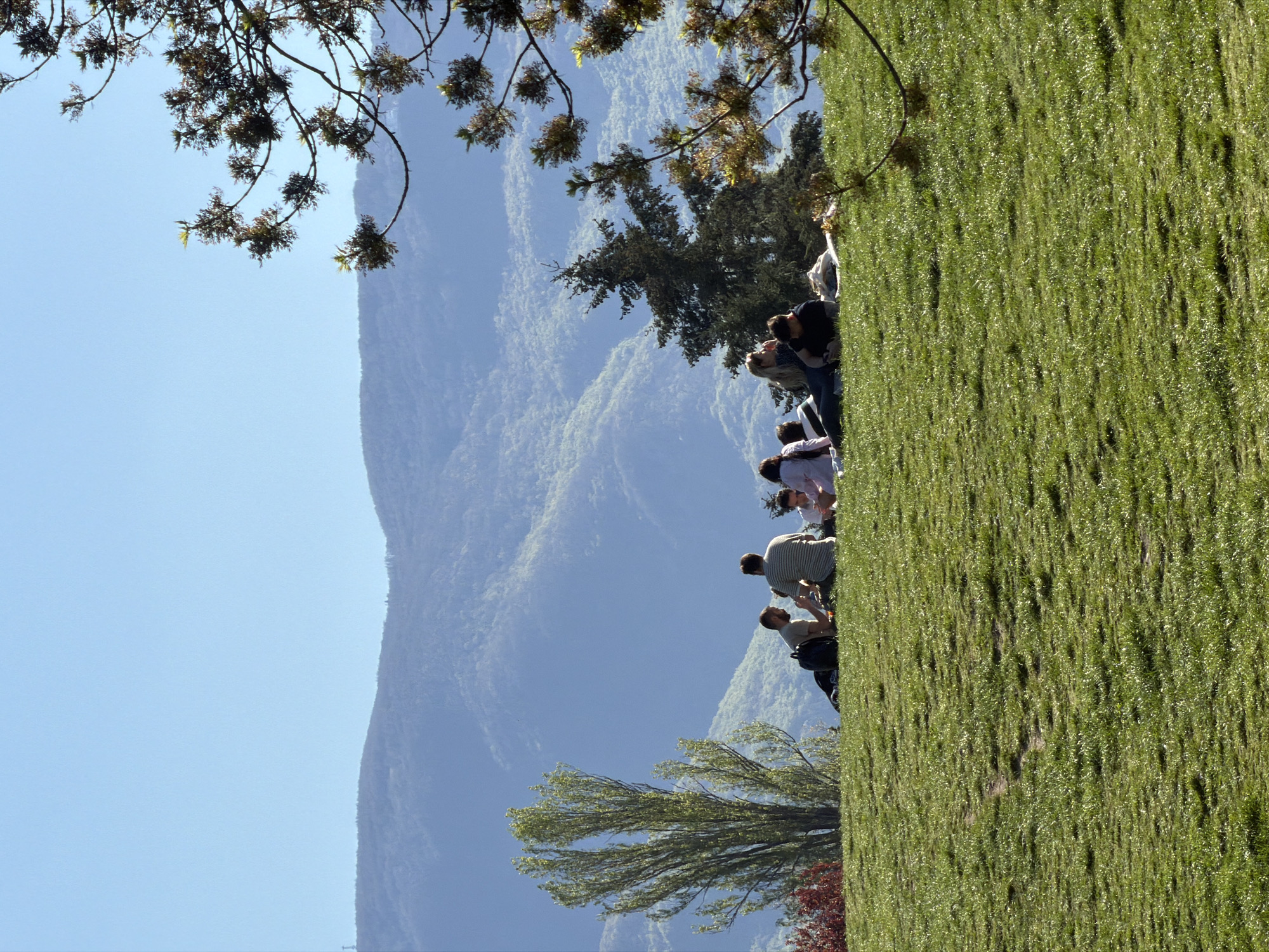 The image depicts a group of people on a grassy slope, possibly a hillside or embankment, with a scenic mountain range in the background under a clear blue sky. The location is near Sofia, Bulgaria, as the mountain range is the Vitosha mountain range. The foliage of trees is present in the foreground, partially framing the scene. The people seem to be gathered, possibly for a tour or event, with some standing and others seemingly seated or leaning. The lush green grass dominates the right side of the image, and the mountains fade into the distance with muted blue tones.