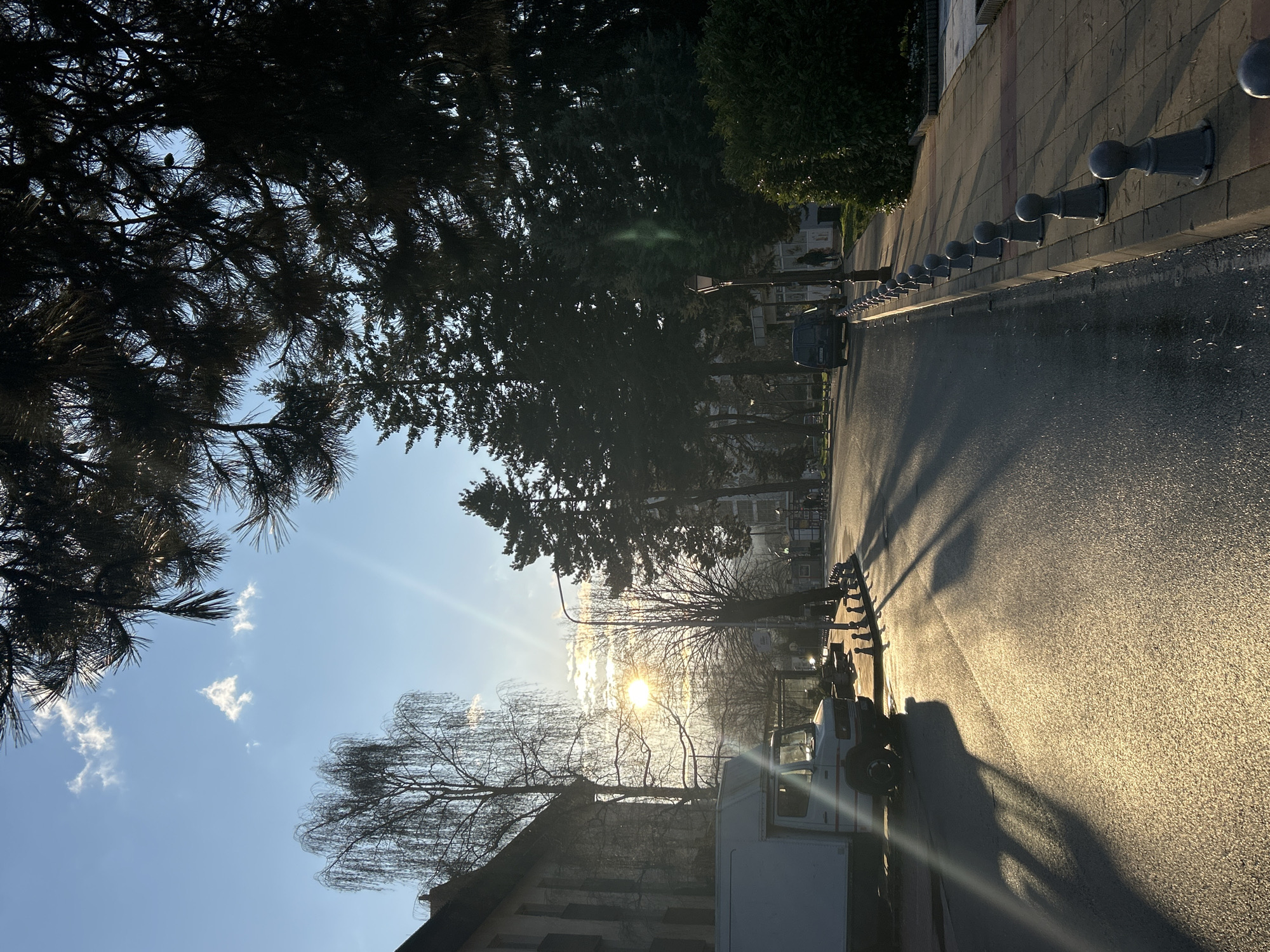 The image shows a street scene in Zlatograd, Bulgaria, with the sun low in the sky. The street is paved with asphalt, reflecting the golden sunlight. A line of metal bollards runs along the edge of the sidewalk. Shadows of trees and lamp posts stretch across the road. A white van is parked on the right side of the street. Buildings are visible in the background, obscured by trees. The trees on the left include pine and a weeping willow. The sky is blue with some wispy clouds. The orientation is vertical.