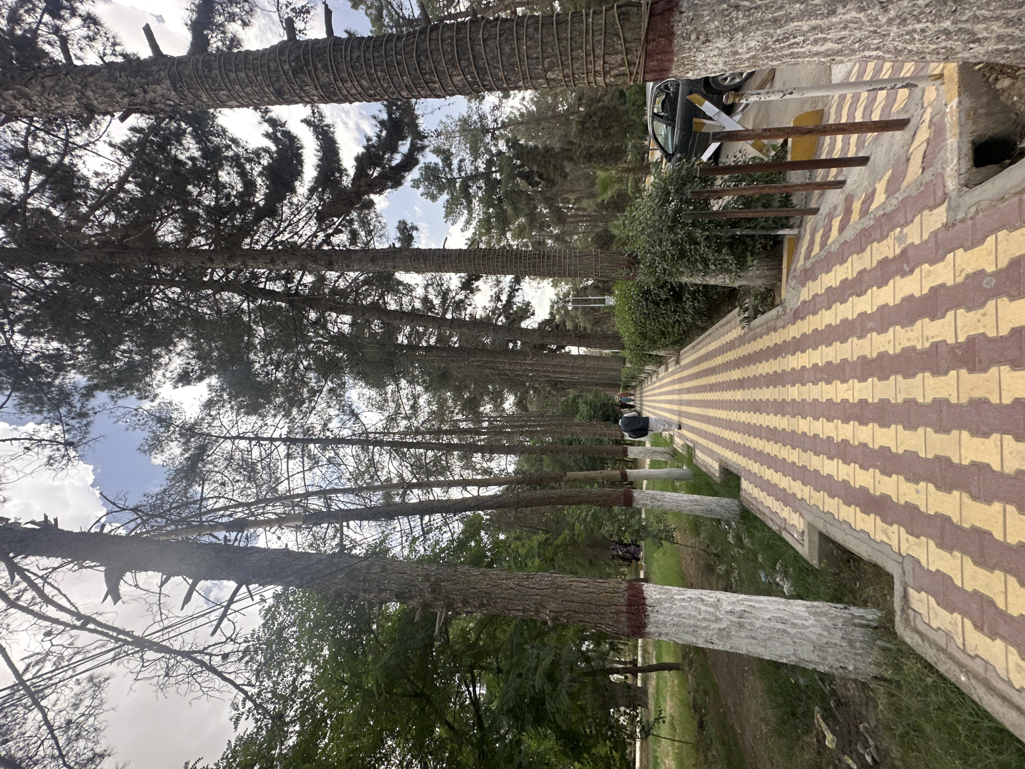 The image depicts a walkway in Quetta City Tehsil, Pakistan. The walkway is paved with yellow and maroon patterned bricks. Tall trees line one side of the walkway, some with their lower trunks painted white. On the other side of the walkway is vegetation and a car parked near a barrier. There are people in the distance walking along the walkway.