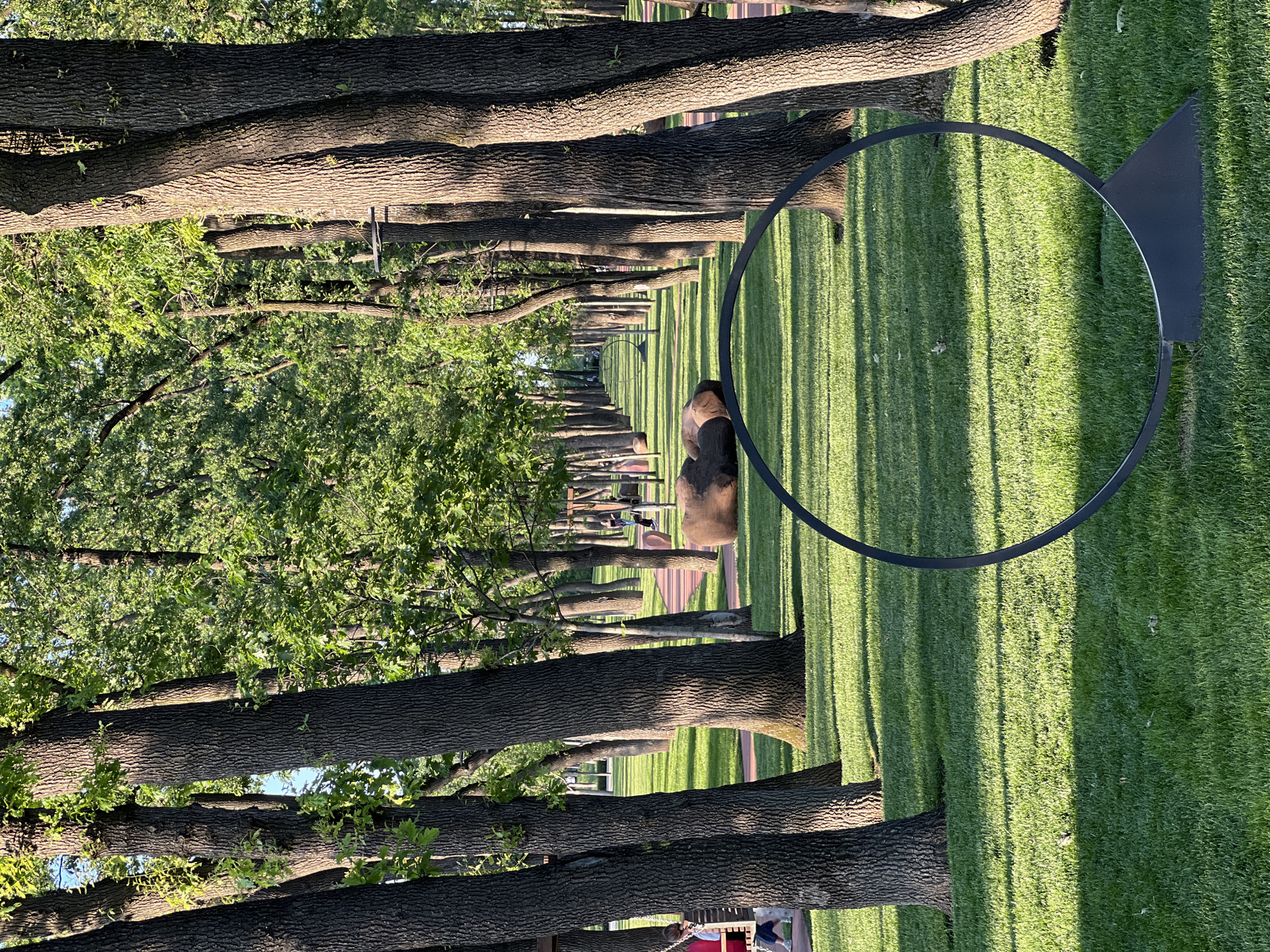The image captures a serene, tree-lined avenue or park, bathed in the warm light of either early morning or late afternoon, as evidenced by the long, distinct shadows stretching across the lush green grass. Numerous tall, mature trees with dark, textured bark line both sides of a receding path, creating a strong sense of depth and perspective. Their vibrant green foliage is visible against a bright sky.
In the foreground on the right, a prominent black circular art installation stands on the grass, with a black triangular shape partially visible behind it. Further down the avenue, smaller, indistinct figures, possibly people or additional sculptures, can be seen, adding to the scale of the space. The scene suggests a well-maintained outdoor environment, possibly an art park or a grand garden, designed for leisurely walks and appreciation of nature and art. There is no visible text.