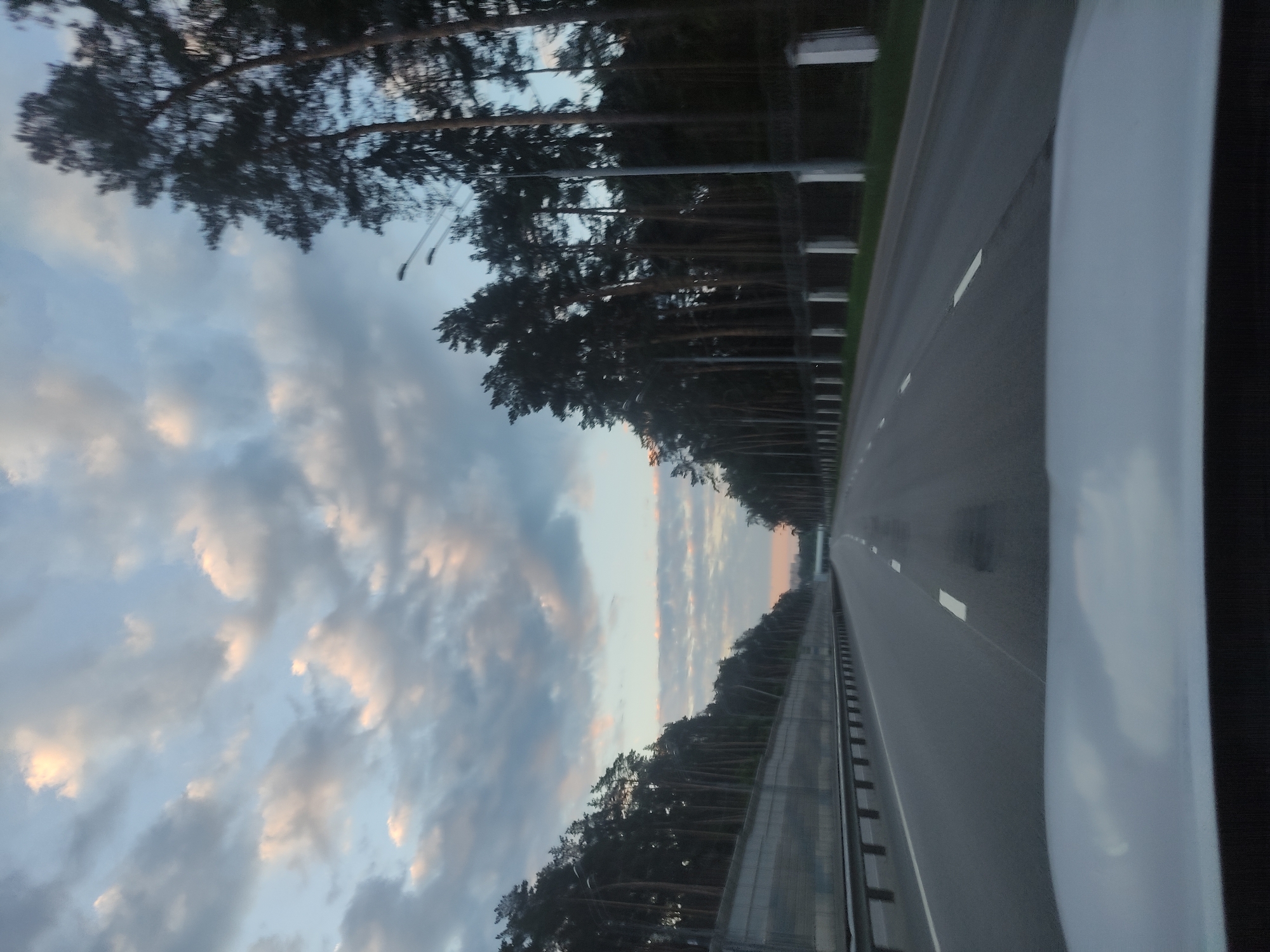 The image captures a scene from a vehicle traveling on a multi-lane highway, likely during sunrise or sunset. The perspective is from inside the vehicle, looking forward and slightly to the left.
On the right side of the frame, a portion of the vehicle's interior is visible, including a light-colored A-pillar and a section of the dashboard. The central subject is a wide asphalt road featuring multiple lanes delineated by white dashed lines, extending into the distance.
Both edges of the highway are flanked by dense rows of tall, dark conifer or pine trees, suggesting a forested environment. A metallic guardrail runs along the left side of the road, behind which a transparent or reflective sound barrier separates the road from the treeline. Several tall streetlights, equipped with double-arm fixtures, are spaced along the roadside, predominantly on the left.
The sky is largely covered with clouds, displaying a blend of blue and grey tones. Patches of these clouds, particularly towards the horizon and upper left, are tinged with soft pink and orange, characteristic of either dawn or dusk. The overall lighting is dim, indicating twilight hours. There is no visible text in the image.