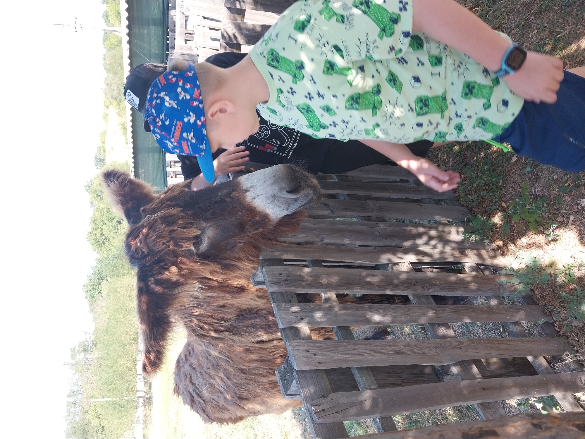In Turove, Ukraine, on a sunny day, a child wearing a green t-shirt with a Minecraft Creeper pattern and dark blue shorts stands in front of a rustic wooden fence. The child is looking towards a fluffy, brown donkey with a white snout, which is positioned behind the fence. The donkey's head is tilted slightly as it appears to be interacting with the child. Behind the child, another person is partially visible, wearing a black t-shirt and a black baseball cap. The background consists of a green grassy area and trees, with a simple structure or building in the distance. The scene suggests a casual visit to a farm or petting zoo.