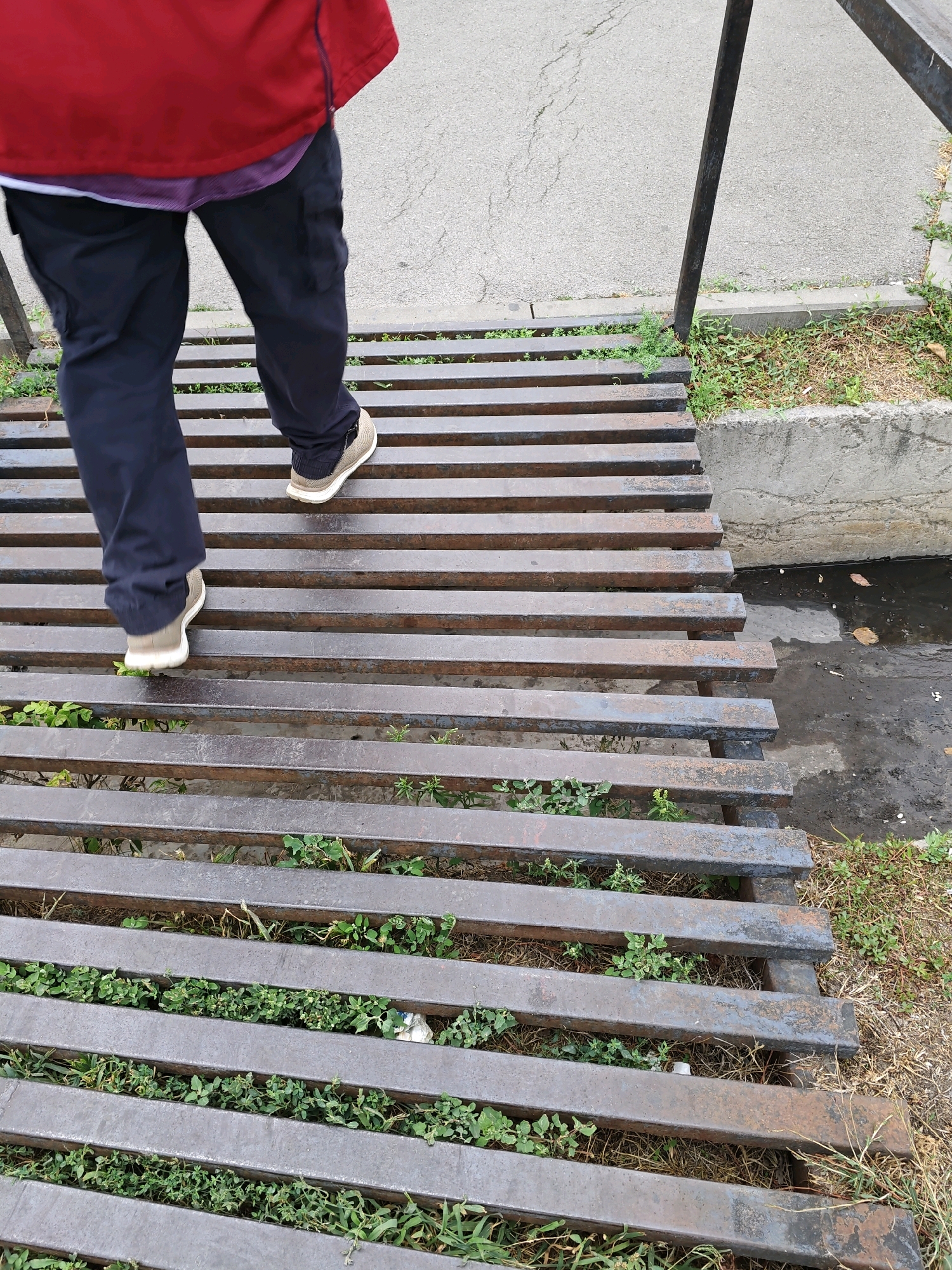 A person wearing a red jacket, purple undershirt, and dark pants walks across a metal grate bridge. The bridge is made of parallel metal bars with green grass growing between them. To the right of the bridge is a concrete channel with murky water and fallen leaves. Beyond the channel, there is a paved area with cracks. The scene appears to be an outdoor location in Rostov-on-Don, Russia, possibly a park or a street with a drainage ditch.
