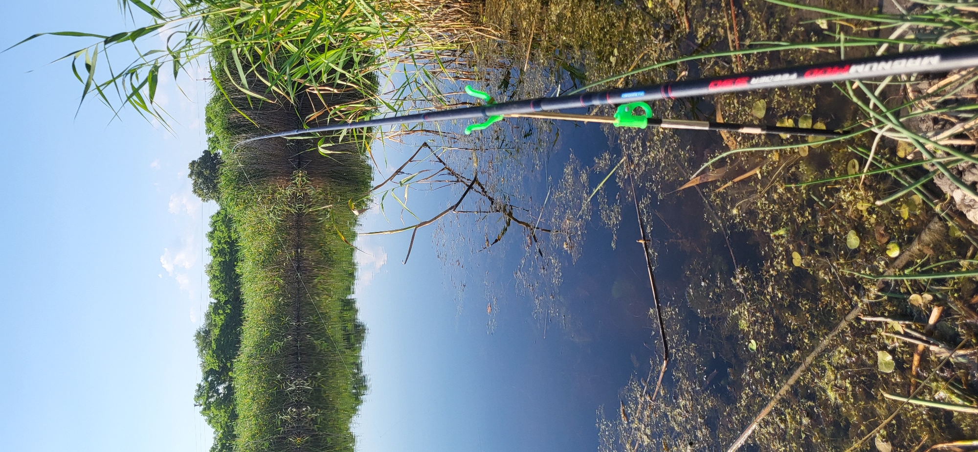 A fishing rod is positioned over murky water with visible plant life. The rod is black with red and white lettering, and has two green clips attached. The water is dark and reflects the surrounding greenery and a clear blue sky with scattered white clouds. The vegetation on the left bank is lush and green, creating a mirror-like reflection in the water. A single brown stick or branch juts out from the water's surface. The scene appears to be set outdoors during the day, likely in a natural environment such as a pond or river bank. The overall impression is one of peaceful angling in a tranquil natural setting. The visible text on the fishing rod reads "MAGNUM FEEDER 300".