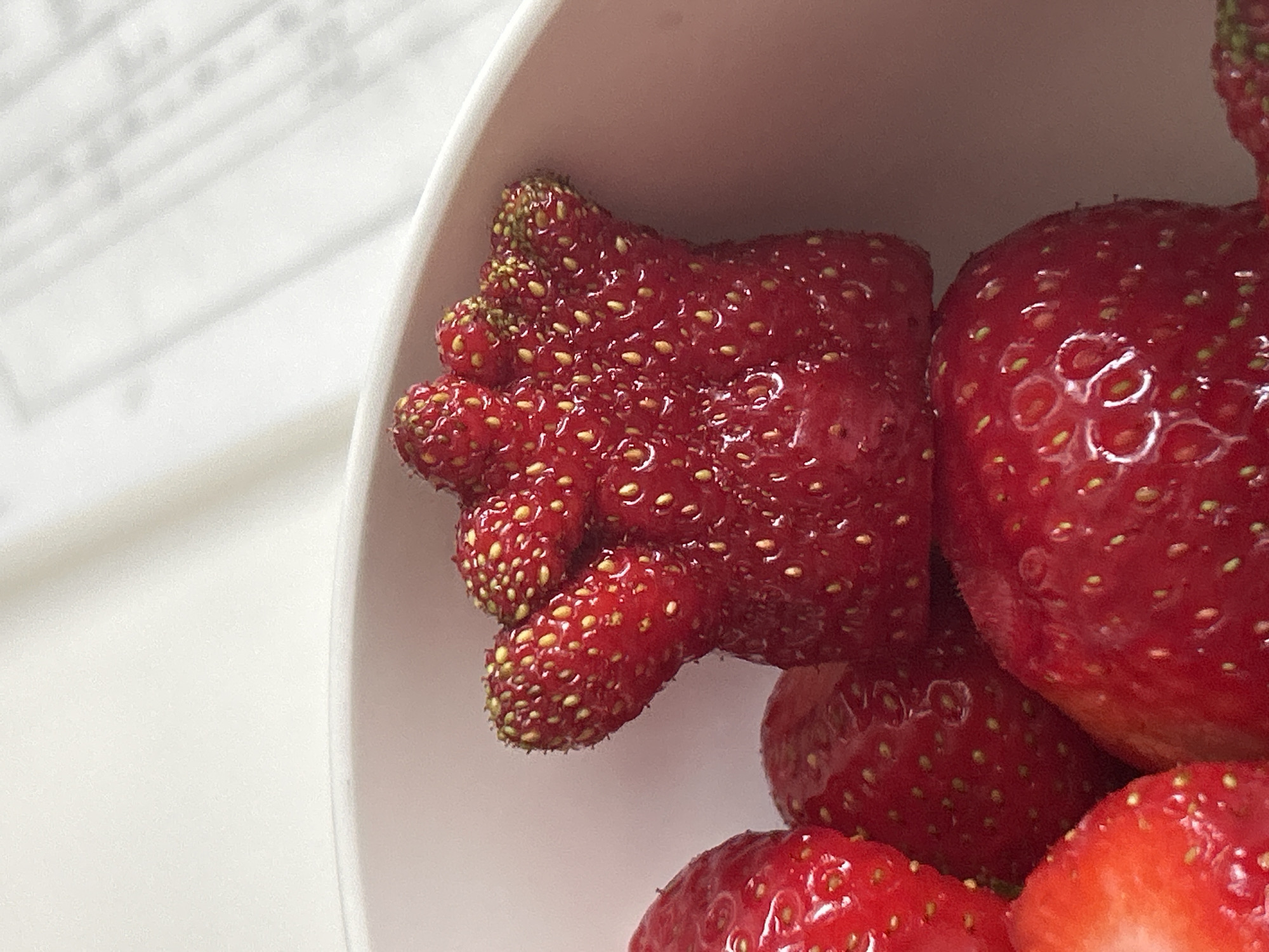 A close-up shot shows several strawberries in a white bowl, with one strawberry having an unusual, multi-pronged shape resembling a hand or a claw. The strawberries are red and have small yellow seeds. Part of a white document with printed text is visible in the background, out of focus. There is no information in the image to suggest the location is Plovdiv, Bulgaria.