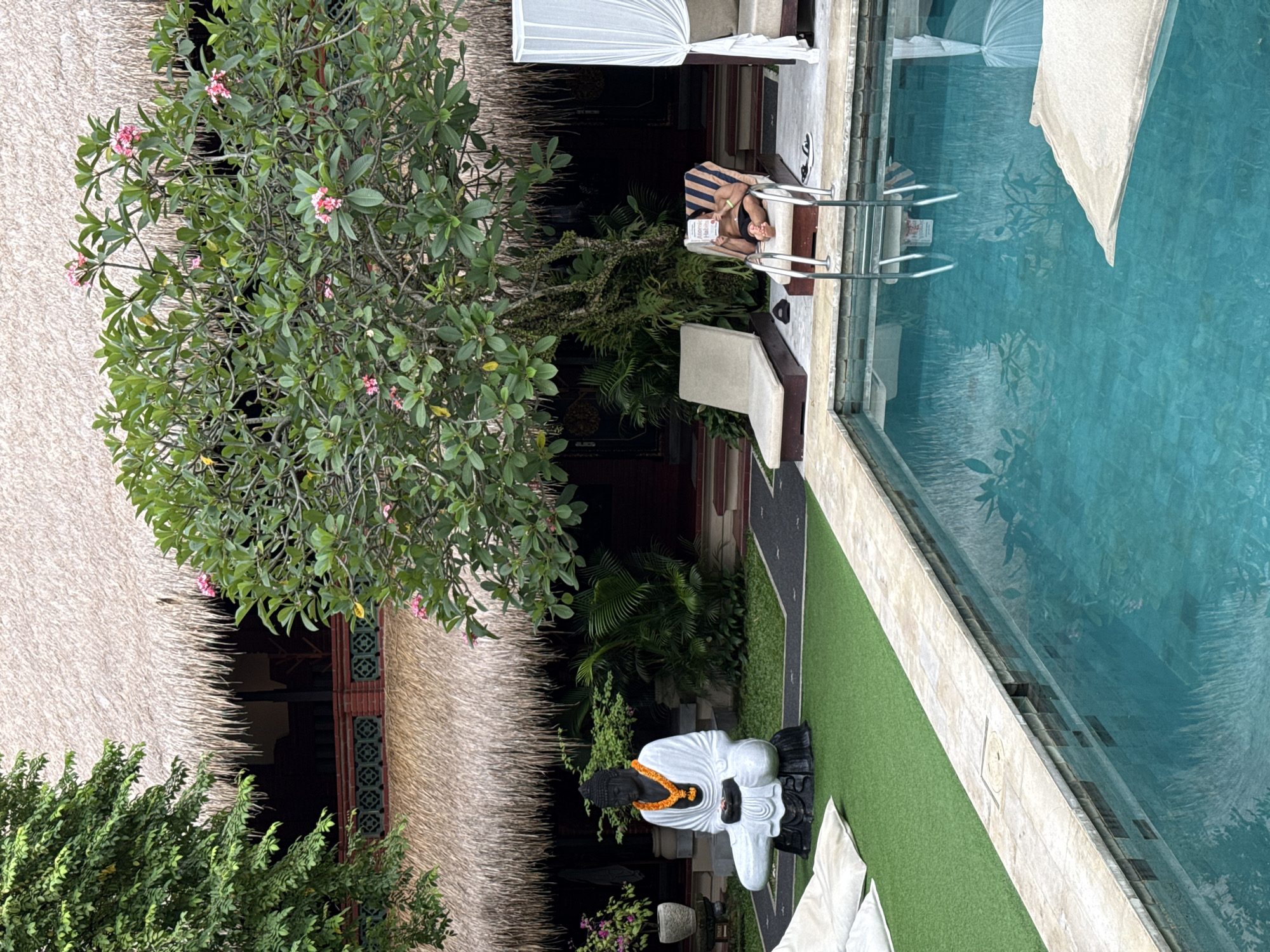 This image captures a serene outdoor scene, likely a resort or private villa in Ubud District, Indonesia. The setting features a clear blue swimming pool alongside a lush tropical garden and traditional architecture.
In the mid-ground, a person is seen relaxing on a striped lounge chair next to the pool, engrossed in reading a book. The book's cover is clearly visible, displaying the title "THE GOOD LIFE" in large letters, with "INSIDE STORY" in smaller text below it. A pair of dark sneakers rests on the pool deck near the person. The pool itself features steps and a white floating object.
To the left of the pool, a white Buddha statue with a black head and an orange and yellow garland around its neck is prominently placed on a patch of green artificial turf. Several white cushions are scattered on the turf nearby.
The background is dominated by a building with a distinctive thatched roof, characteristic of Balinese architecture. A large, leafy Frangipani (Plumeria) tree, adorned with delicate pink blossoms, stands between the building and the pool area, contributing to the tropical atmosphere. Other dense green foliage is visible throughout the scene. Over another lounge area by the pool, a white canopy or drapery provides shade. The overall impression is one of peaceful relaxation on a pleasant, bright day.