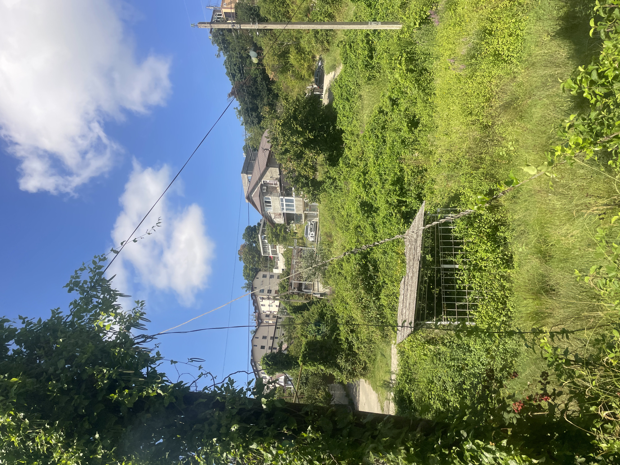 This image depicts a hillside in Baranovka, Russia, densely covered with lush green vegetation and trees. Several multi-story buildings are situated on the slope, some appearing to be residential houses and others possibly apartment buildings. The sky is a clear blue with scattered white clouds. In the foreground, a portion of a tree with dark green leaves and some red berries is visible on the left. A weathered wooden structure with a corrugated roof and metal fencing is also present in the mid-ground, partially obscured by the foliage. A dirt road winds its way up the hill, and a few vehicles, including a dark-colored SUV and a white van, are visible on the road. A concrete utility pole stands on the right side of the image. Electrical wires crisscross the scene, and some of them are draped over the trees. The overall impression is one of a natural, somewhat wild landscape encroaching on a developed area.