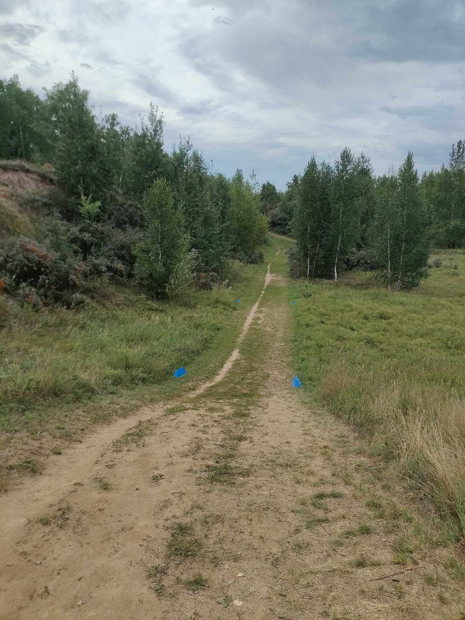 The image depicts a dirt path winding through a grassy, wooded area under a cloudy sky. The path is lined with sparse green vegetation and some dry grass. Several small, bright blue markers are placed intermittently along the sides of the path, suggesting a designated route or course. In the background, a dense line of trees, primarily birches, borders the path on the left and extends into the distance on the right. A sandy embankment with more vegetation is visible on the far left. The overall impression is a natural, outdoor setting that appears to be in a park or rural area. The image is a photograph taken from a slightly elevated perspective, looking down the path as it recedes into the landscape. There are no people or animals visible in the scene.