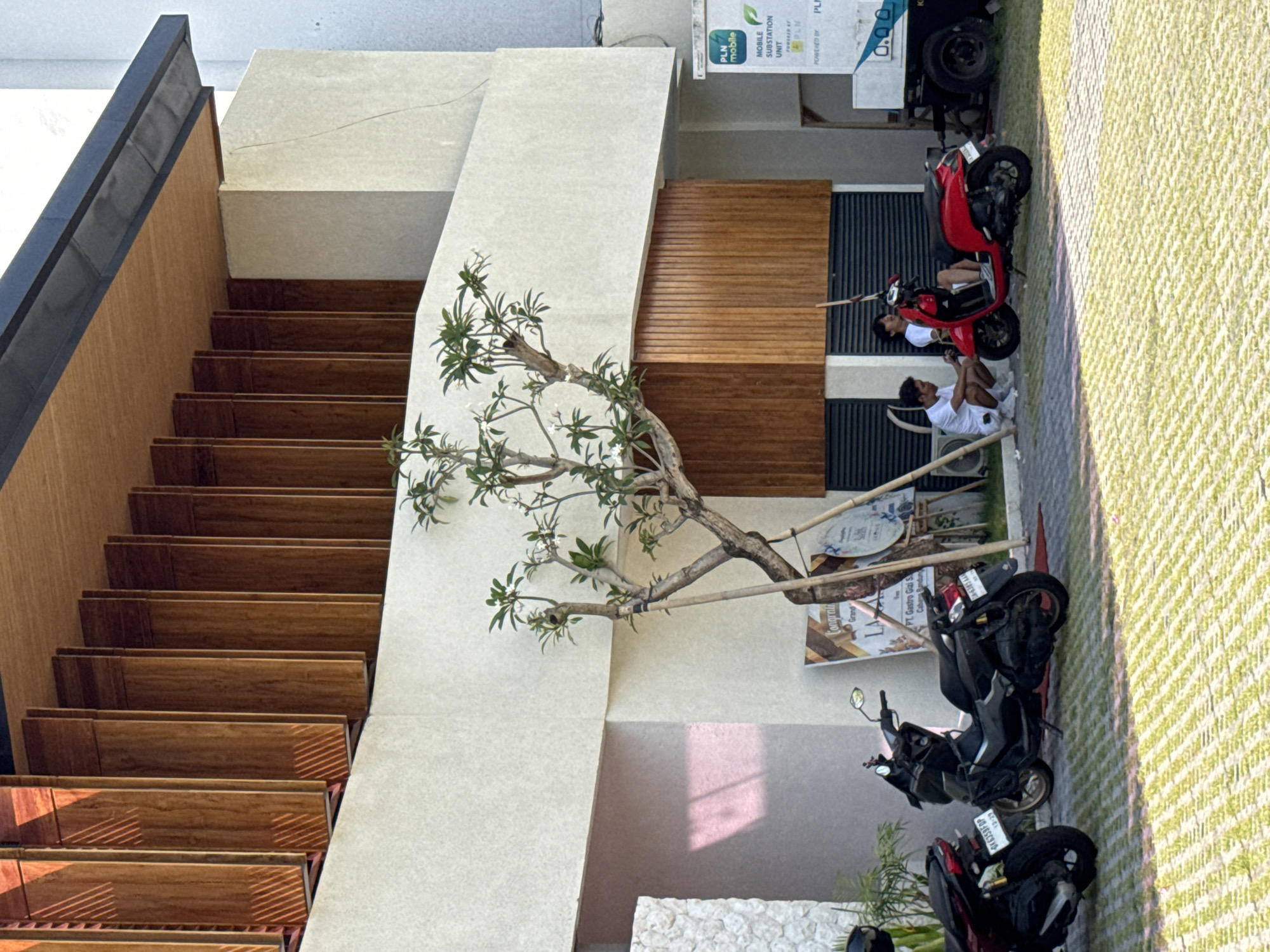 This image, captured in Kuta, Indonesia, depicts a modern outdoor area under bright sunlight, evidenced by the sharp shadows. On the left, a striking wooden staircase with dark handrails ascends. Its steps show distinct parallel shadows. Adjacent to the stairs, light-colored concrete walls are complemented by warm, horizontal wooden slatted panels.
A small tree, likely a frangipani with delicate white flowers and green leaves, is prominently featured in the middle ground, supported by bamboo poles. To the right of the tree, a paved area holds several parked motor scooters. Two young men are present: one is seated on a red scooter, engrossed in his phone, while another is sitting on the ground next to a white air conditioning unit, also looking at a device. Parked behind the red scooter are two dark-colored scooters. Visible license plate numbers include "OK6359FDP" (on the red scooter), "DA 6385", and "DK 5410 GA" (on the black scooters).
Several informational signs are mounted on the background wall, featuring texts such as "PLN mobile," "MOBILE SUBSTATION UNIT," and "POWERED BY PLN." Another sign mentions "PT. Gastro Gizi S Cabang Bandung" and partially "Congreali." The ground in the parking area is covered with a light green, textured surface, possibly artificial turf. The overall scene conveys a casual, relaxed atmosphere, typical of a sunny day in a contemporary setting.
