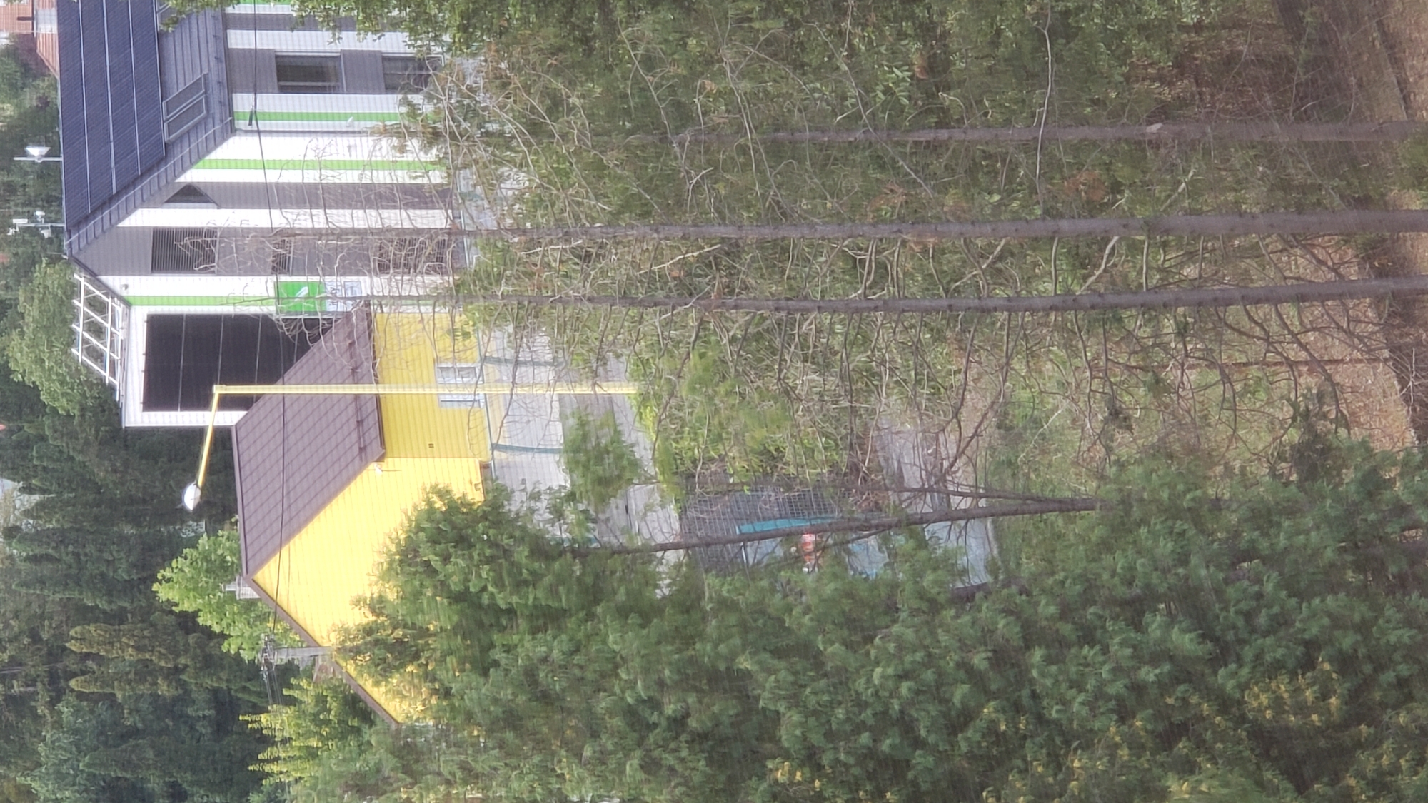 A high-angle shot captures a residential area in Prešov, Slovakia. In the foreground, lush green trees frame the scene, with some appearing dry and bare. Behind them, a yellow house with a brown roof is visible, adjacent to a modern building with a black and white striped facade and solar panels. A yellow lamppost stands in front of the yellow house. The background is filled with more trees, suggesting a suburban or semi-rural environment within Prešov.