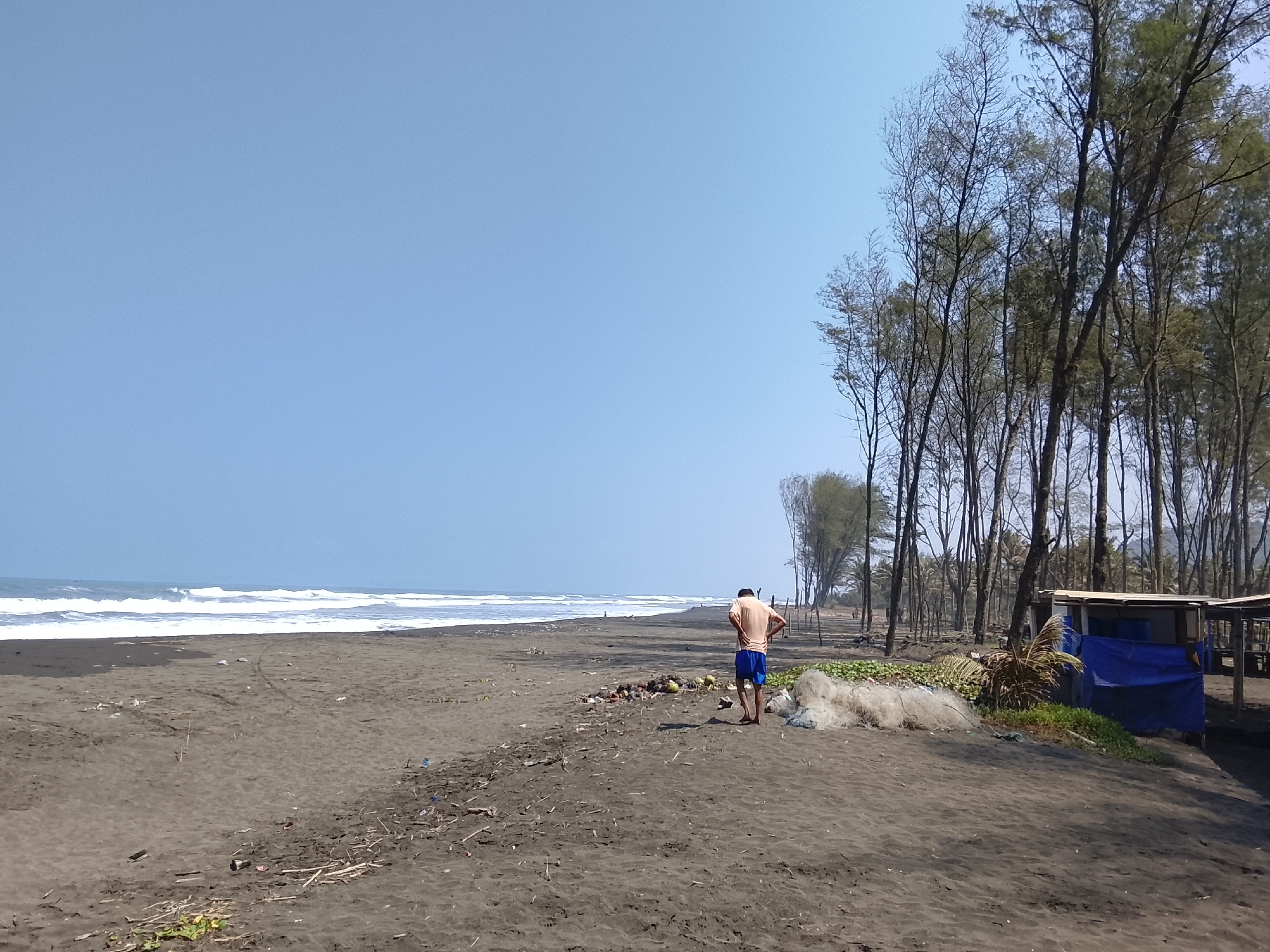 The image depicts a desolate, dark-sand beach in Adipala, Indonesia, under a clear, bright blue sky. The sea is visible on the left, with gentle waves breaking on the shore. A lone man, wearing an orange t-shirt and blue shorts, stands with his back to the camera in the middle ground, facing the sea. To his right, a pile of white fishing net is visible, and further to the right, a rustic, open-air shelter with a blue tarp roof stands partially visible. A line of tall, slender trees with sparse foliage borders the beach on the right, separating it from the interior. The beach itself is strewn with debris, including driftwood, plastic, and other detritus. The overall impression is one of a remote, somewhat unkempt coastal location.