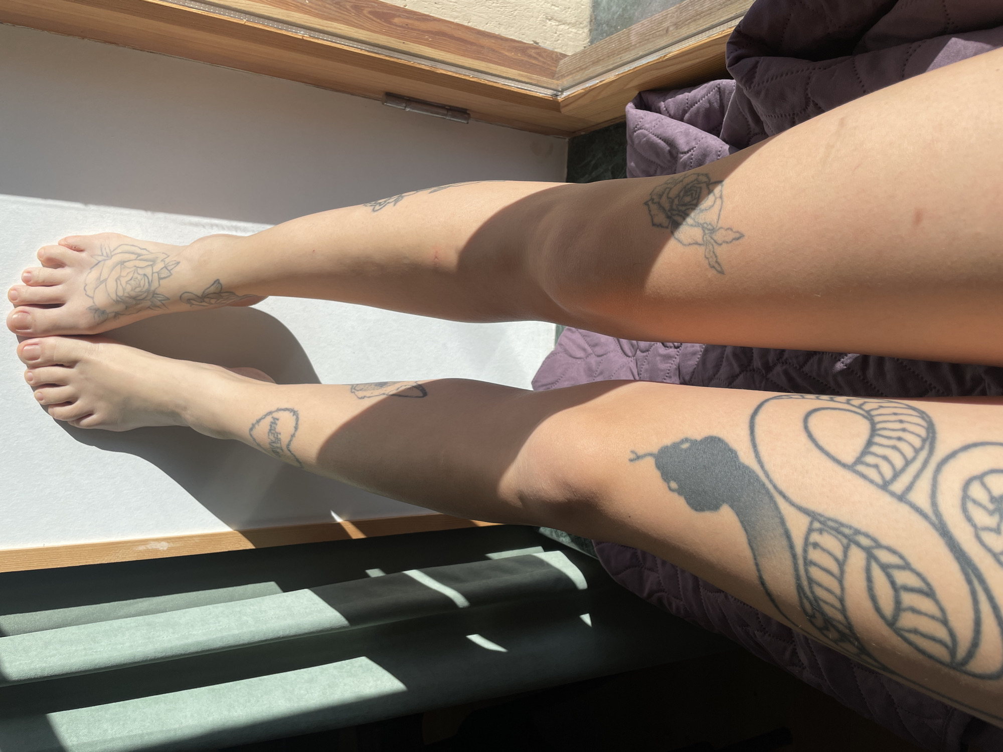 The image depicts a person's legs with tattoos, positioned near a window. The left leg has a tattoo of a rose on the foot and a heart-shaped tattoo above the ankle. The right leg has a rose tattoo on the thigh and a larger snake tattoo on the calf. The legs are resting on a surface partially lit by sunlight, with the lower portion of the image showing either a window seat or a low table. A purple, textured blanket or cushion is visible to the right. The location cannot be determined from the image.