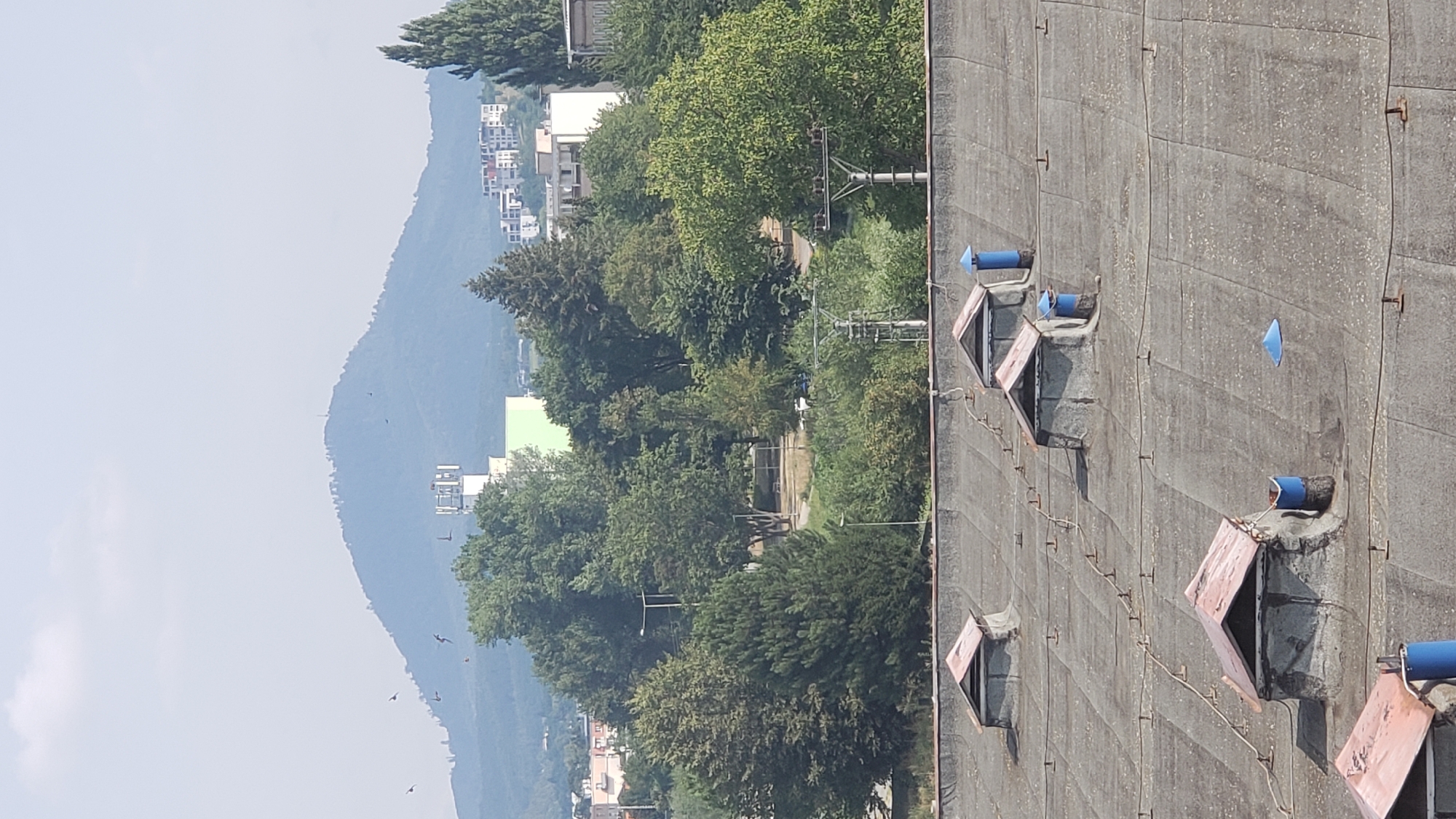 The image displays a view of a city with a large hill or mountain in the background. In the foreground, there is a flat, gray rooftop with several small, shed-like structures with reddish-brown roofs. Some of these structures have blue cylindrical chimneys or ventilation pipes. There are also metal wires and supports running across the rooftop. In the middle ground, there are many green trees and some buildings, including a white tower with antennae, and several multi-story residential buildings. The sky is hazy and light blue with some clouds. A flock of small birds is visible flying in the sky towards the left side of the image. The overall scene suggests a somewhat overcast or hazy day in an urban or semi-urban environment. The presence of the distinct hill in the background, known as Sigord, points to the location being Prešov, Slovakia, specifically an area with a view towards the Sigord hill.