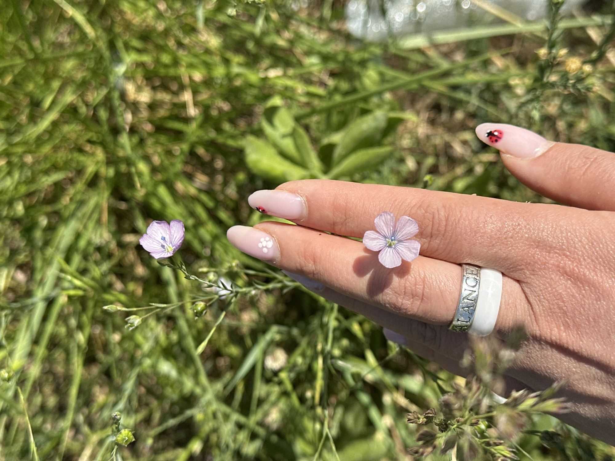 A close-up shows a female hand with manicured nails, decorated with a ladybug and white floral patterns, amidst a field of green foliage and small purple flowers. The hand is adorned with a silver and white ring with the word "BALANCE" engraved on it. One small purple flower rests on the middle finger of the hand, while another flower is positioned beside the hand. The background consists of green grass and small flowering plants. The location appears to be a grassy area with natural lighting. The location of Šušanj, Montenegro is not apparent in the provided image.