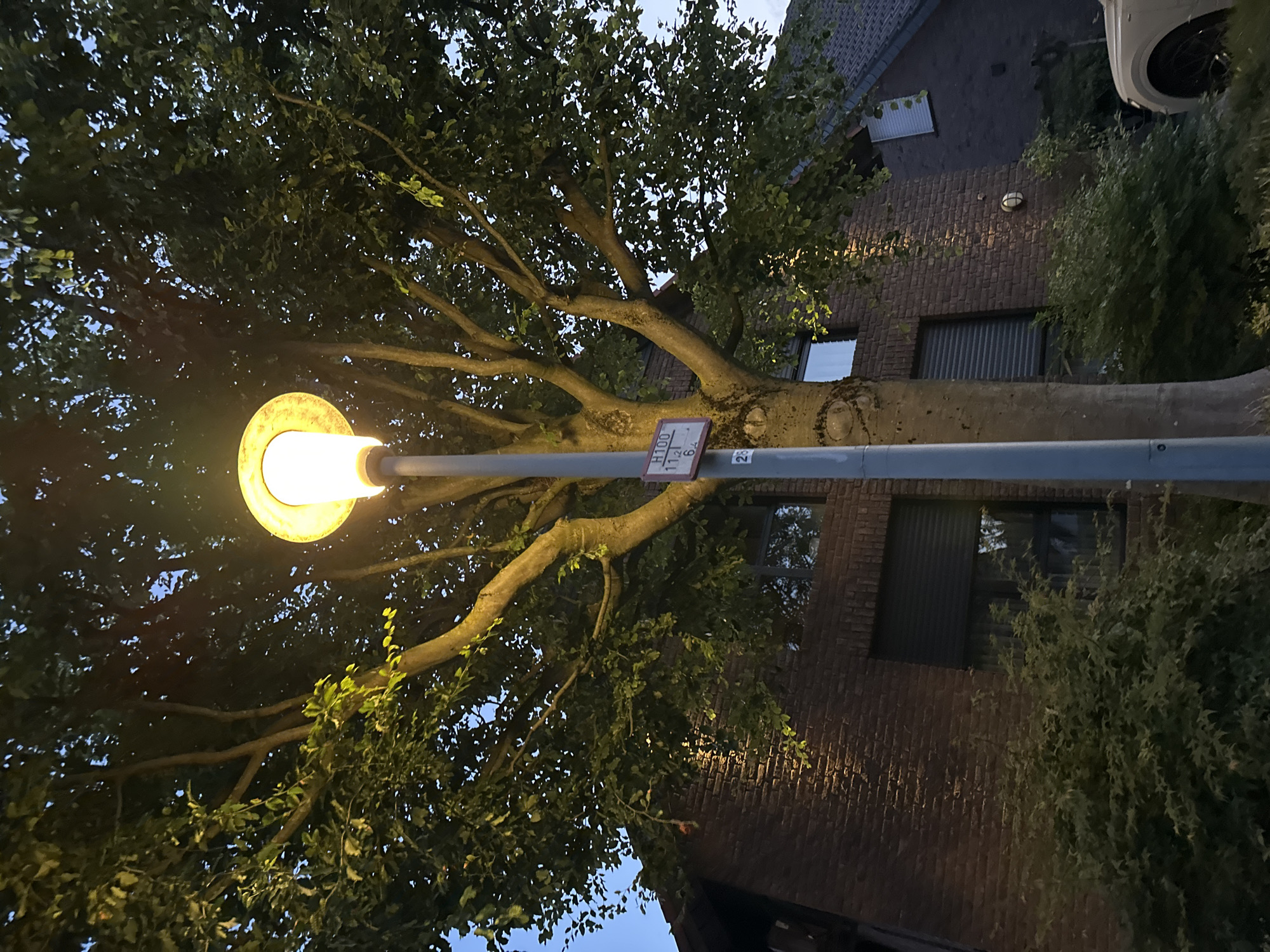 The image depicts a streetlamp positioned in front of a mature tree with lush green foliage. The tree's branches extend outwards, partially obscuring the sky and the façade of a brick building behind it. The building features windows with closed shutters. A sign with the text "H100 11.21 6.4" and the number "2" is affixed to the streetlamp pole. The scene appears to be set in a residential area. The lighting suggests it is either dusk or early evening. The overall impression is of a quiet, suburban street in Krefeld, Germany.