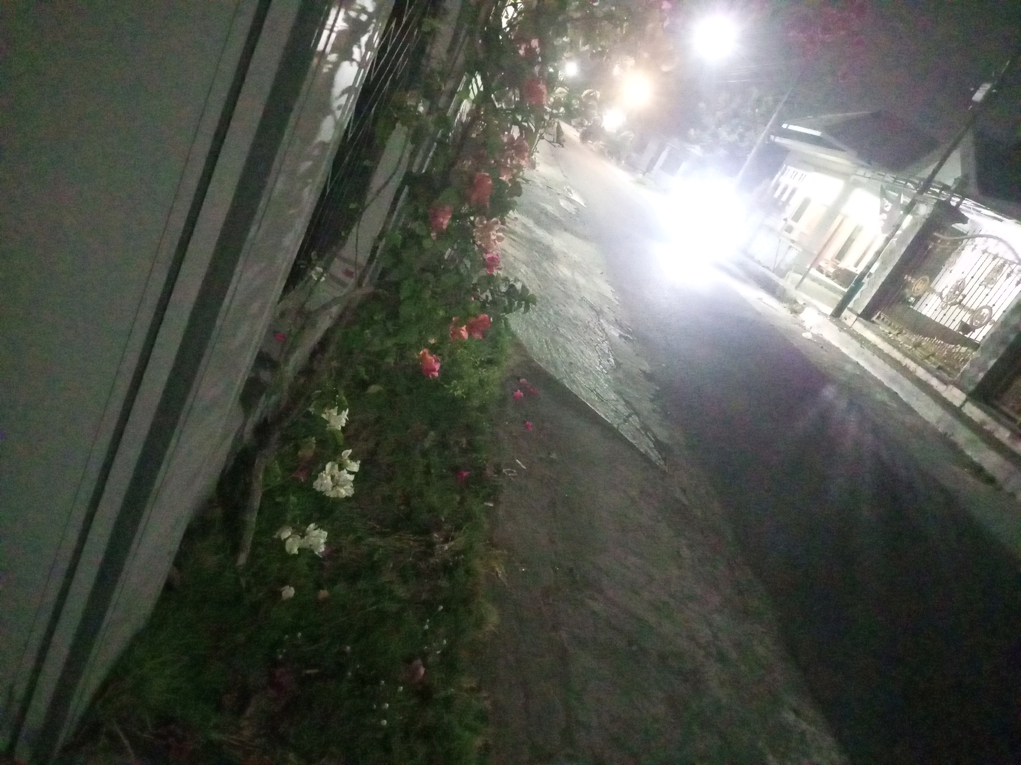 This is a nighttime photograph taken on a street in Ngasem, Indonesia. The perspective is low and angled, looking up and to the right. On the left side of the frame is a vertical, gray, corrugated metal fence. To the right of the fence is a grassy area with several clusters of flowering plants. Some of the flowers are white, and others are pink or red. Beyond the vegetation and extending into the background is a paved street, which appears wet, possibly from recent rain. The street is illuminated by a bright light source from the right side of the frame, which appears to be a streetlamp or a strong porch light from a house. This light is intensely bright and creates a strong glare, obscuring some of the details of the buildings and trees in the background. A white house with several windows is visible on the right side of the street, behind a decorative black metal gate. The overall impression is a quiet, dimly lit residential street at night.