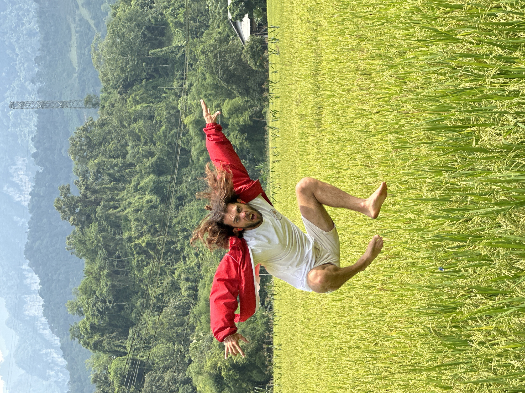 The image, correctly oriented, depicts a man joyfully leaping high above a vibrant rice paddy field under bright daylight. The man, with long, curly brown hair and a beard, is captured mid-air, wearing a white t-shirt, white shorts, and an open red jacket. He is barefoot, and his expression is one of exhilaration, with an open mouth suggesting a shout or laugh. His left hand is raised in a "rock on" gesture, while his right hand is splayed open below him.
The setting is a picturesque rural landscape in Ngọc Đường Commune, Vietnam. The foreground and midground are dominated by a lush field of rice, showing varying shades of green and yellow, indicating mature grains ready for harvest. In the background, rolling mountains covered in dense green foliage stretch across the horizon, appearing hazy in the distance. A tall metal transmission tower is visible on one of the distant mountain slopes, and overhead power lines traverse the sky above the tree line. The clear sky and strong illumination suggest it is daytime, likely mid-morning or afternoon. The overall mood conveyed is one of freedom, energy, and connection with nature. There is no visible text.