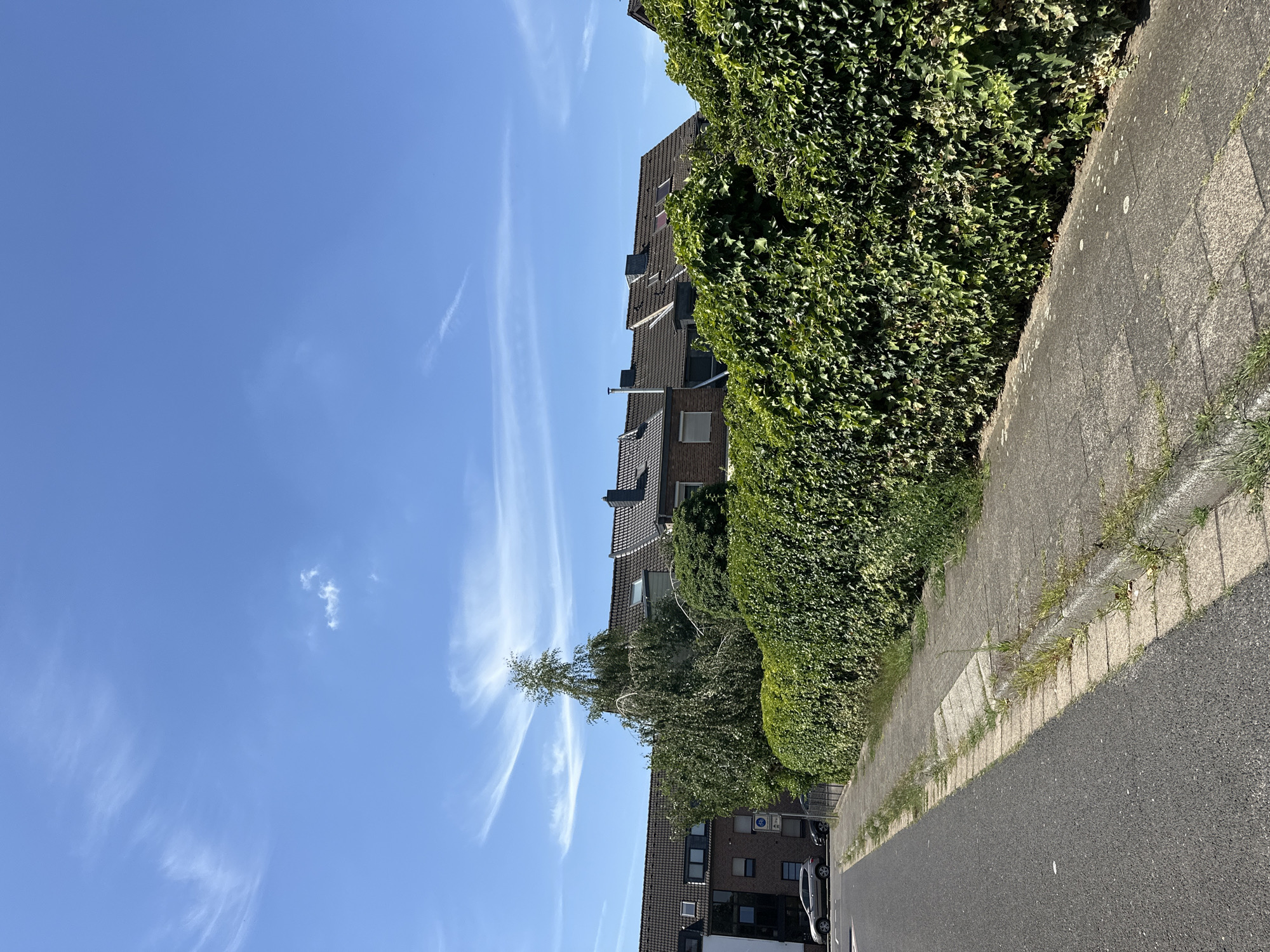 The image shows a residential street scene on a sunny day in Krefeld, Germany. A paved road runs along the left side of the image, bordered by a concrete sidewalk. A dense, green hedge forms a barrier along the right side of the sidewalk, separating it from properties behind. Beyond the hedge, a row of attached houses with tiled roofs is visible. The sky is blue with a few wispy white clouds. A silver car is parked on the left side of the road, and a street sign is visible near the sidewalk. Vegetation, including trees and grass, is present in the scene.