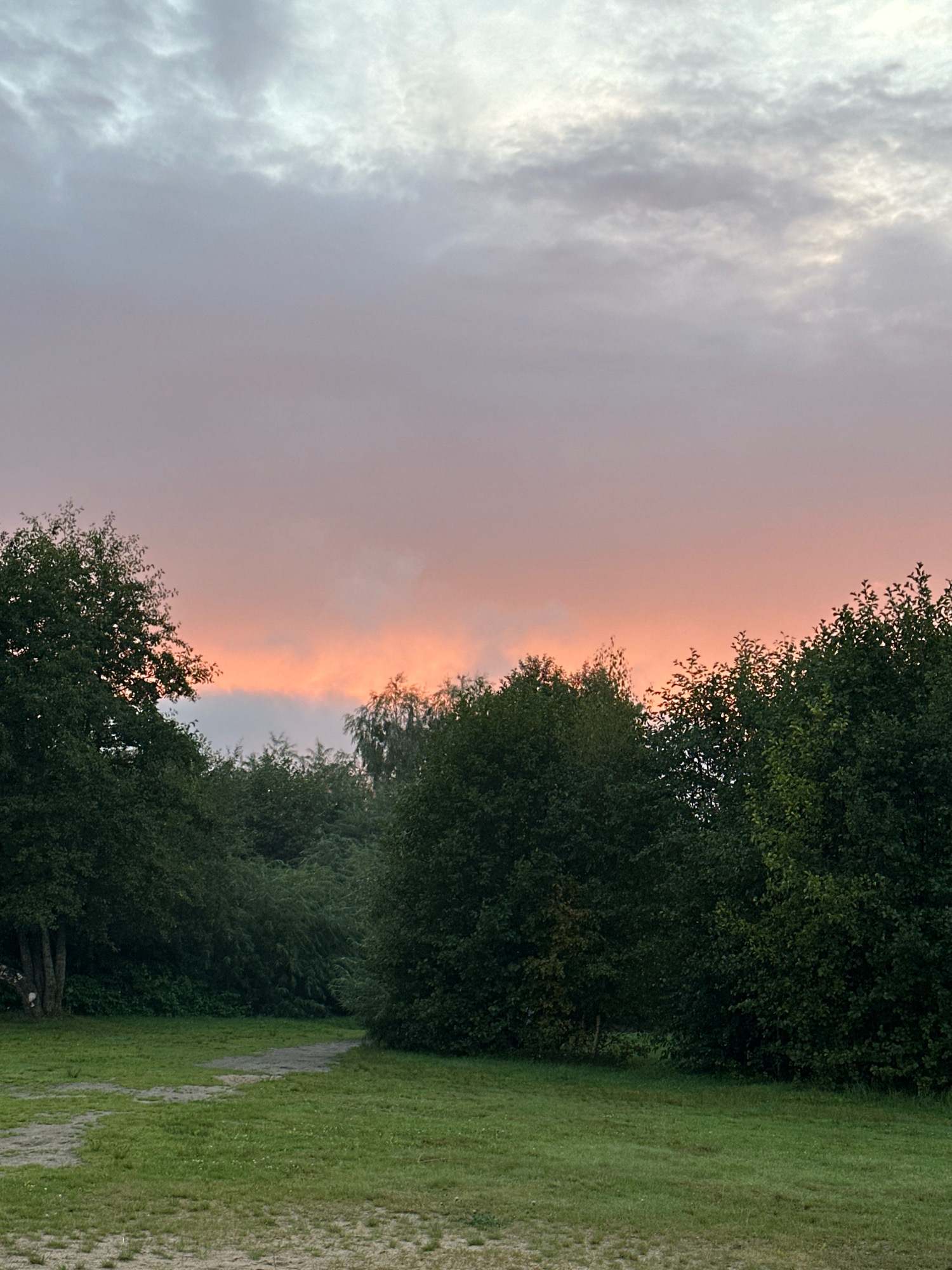 This is a photograph of a sunset over a green landscape with trees in the foreground. The sky is filled with soft clouds, transitioning from grey at the top to hues of pink and orange near the horizon. A dense line of dark green trees stretches across the middle ground, with some taller trees on the left and right edges of the frame. A patch of grass with a dirt path winding through it occupies the lower half of the image. The overall lighting suggests it is late evening. There are no people or specific landmarks visible to determine the location within Tallinn, Estonia.