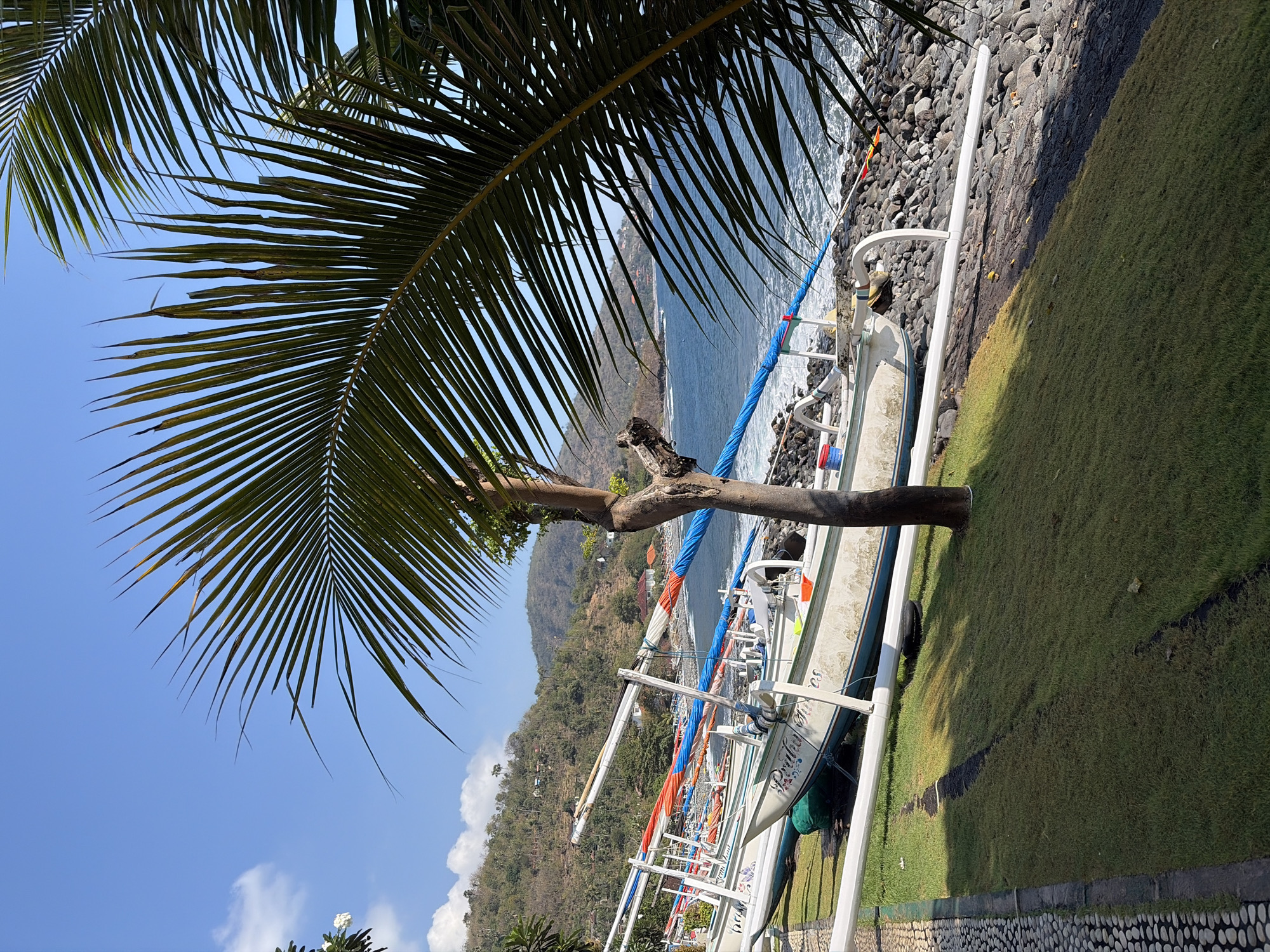 This image captures a scene on a rocky beach in Abang, Indonesia. Several traditional outrigger boats, painted white with blue trim and colorful accents, are pulled up onto the shore. A lush green lawn runs parallel to the beach, bordered by a paved walkway with pebble detailing. In the foreground, a palm tree casts a shadow across the grass. The ocean is visible in the background, with gentle waves lapping at the shore. A hillside covered in vegetation rises behind the beach, dotted with a few buildings. The sky is clear blue with a few white clouds. The overall impression is one of a tranquil tropical coastal setting.