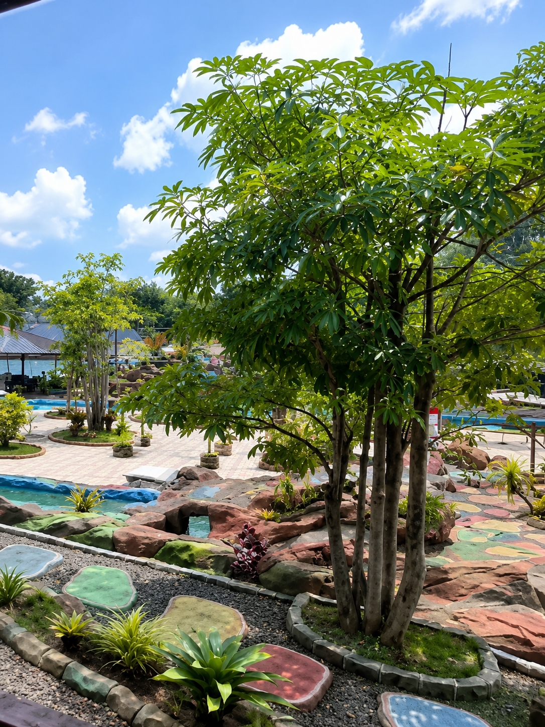 This is a daytime, eye-level, outdoor, full shot of a resort area in Eampat Kwalamencirim, Indonesia. The image features a foreground with gravel and a pathway of large, colorful stepping stones. To the right, a cluster of trees with thick trunks and lush green leaves dominates the middle ground. Behind the trees, a resort landscape unfolds, with artificial rock formations, water features, and swimming pools. In the background, distant trees and a bright blue sky with scattered white clouds complete the scene. No people are visible in the image.