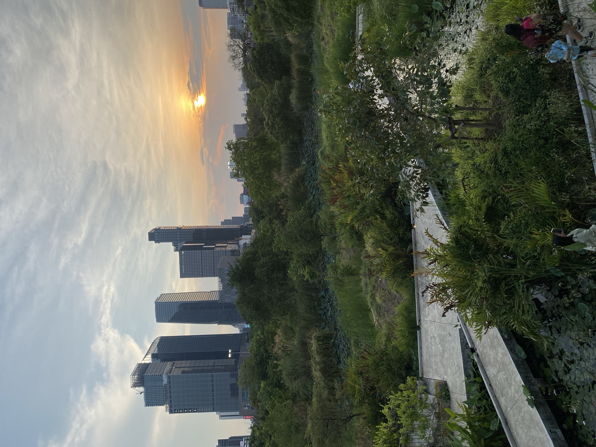 The image shows a view in Bangkok, Thailand, at sunset. In the foreground, a concrete walkway runs along a canal filled with aquatic plants, dense vegetation, and what appear to be lily pads. Two people are partially visible at the end of the walkway. In the background, a cityscape of modern high-rise buildings is silhouetted against the setting sun, partially obscured by clouds. The sky is filled with yellow-orange light near the horizon.