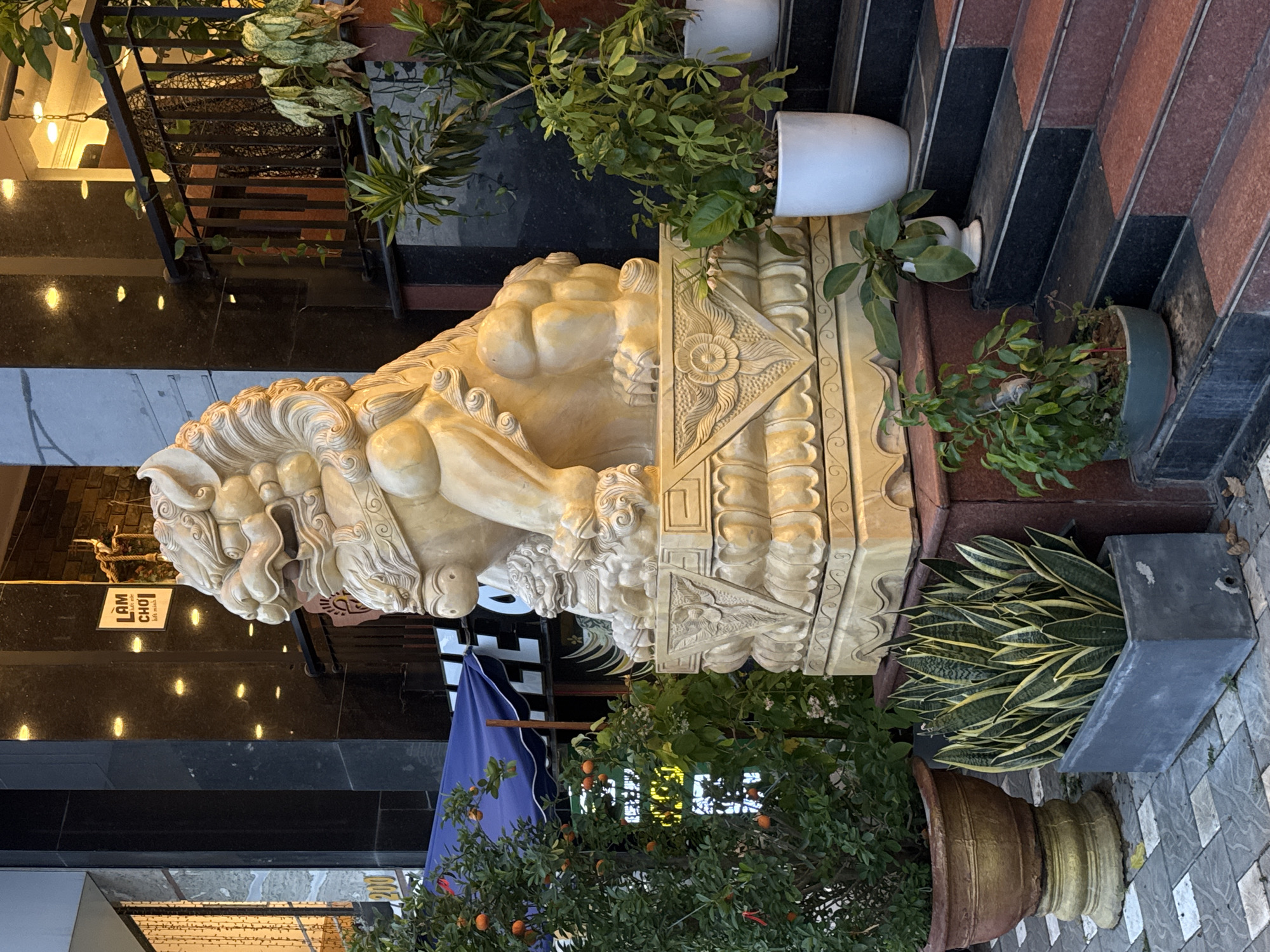 This image depicts a large, ornate stone sculpture of a Foo dog (a mythical lion-like creature) positioned prominently outside a building. The sculpture is light-colored, possibly made of sandstone or marble, and is intricately carved with a mane, fierce expression, and decorative base. It is situated on a raised platform with red and black tiled stairs leading up to the building's entrance, which features large black pillars and reflective windows. Several potted plants, including a leafy tree with orange fruits, snake plants, and other greenery, are strategically placed around the sculpture and on the stairs, adding a touch of nature to the urban setting. A blue awning is visible in the background. The scene appears to be a storefront or entrance to a business in Đà Nẵng, Vietnam, given the presence of Vietnamese text on a sign hanging near the building's entrance. The overall impression is one of grandeur and a traditional East Asian aesthetic combined with modern architecture.