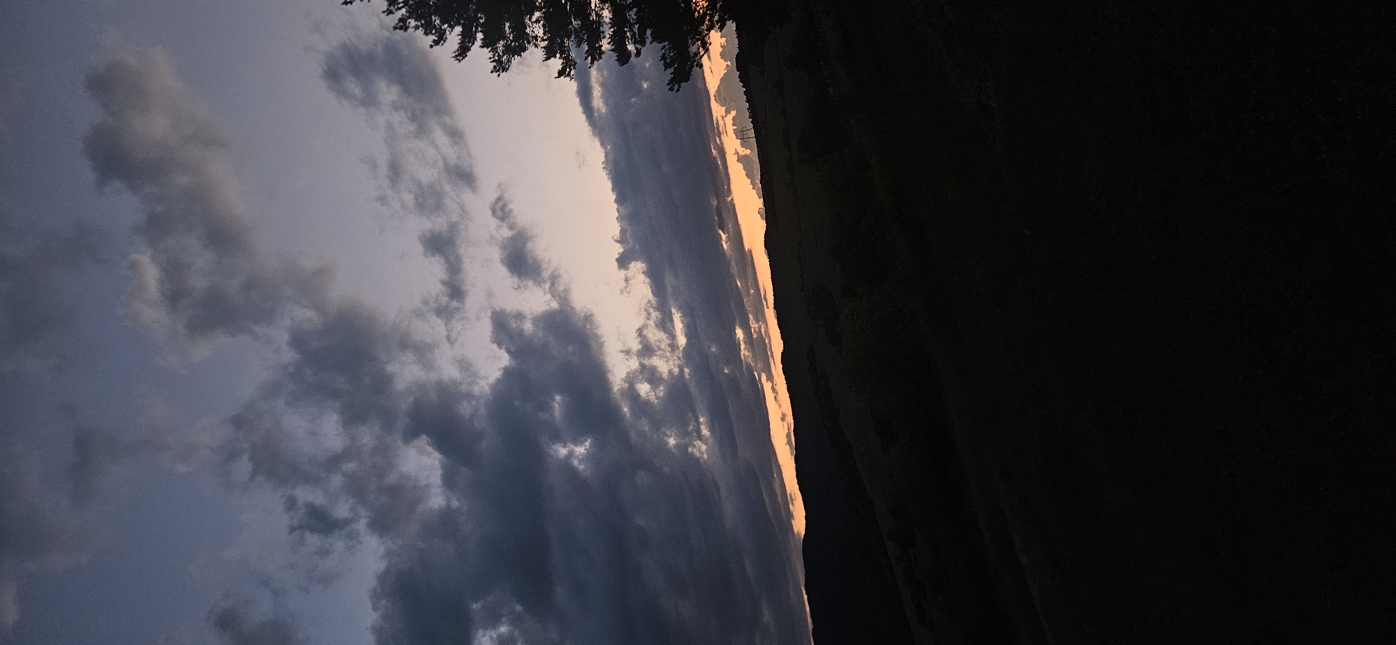 The image captures a rural landscape at twilight, likely at sunset or sunrise, from the vicinity of Gutsal, Bulgaria. The upper half of the frame is dominated by a heavily clouded sky, featuring thick, dark grey and purplish cumulus clouds with scattered lighter grey and white areas. Towards the horizon, a distinct band of warm orange and pink light extends horizontally across the scene, indicating the position of the sun. Below this radiant band, the landscape consists of several layers of rolling hills and fields, rendered in deep silhouette against the sky. Faint outlines of structures, possibly power poles, are discernible on a distant ridge to the right. The foreground is almost entirely dark, depicting a sloping landmass with minimal detail, suggesting fields or low vegetation. On the far right edge of the frame, a large, dark evergreen tree, likely a pine or fir, stands in silhouette, its branches extending into the sky. No people, animals, or explicit urban structures are visible.