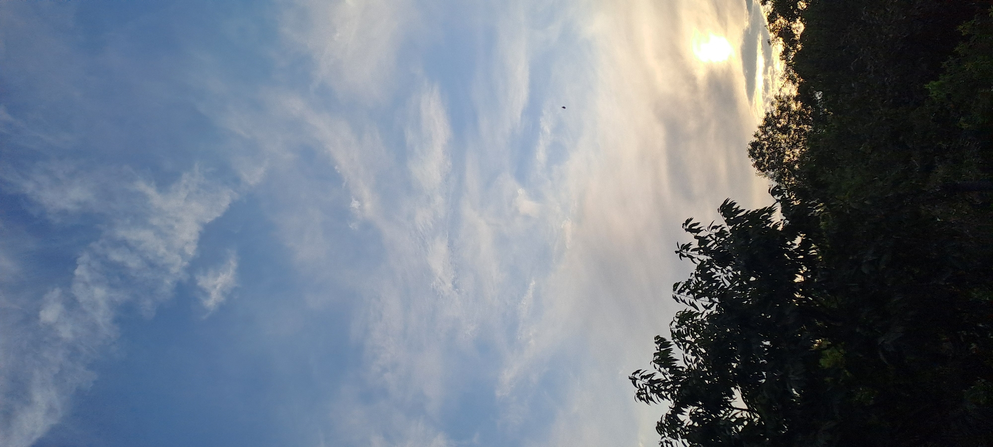 The image shows a wide shot of a silhouetted treeline against a sky during sunset. The sky is a pale blue with wispy white clouds, and the sun is a bright, warm glow just above the trees. There is a small dark object, possibly a bird, flying in the sky. The trees are dark green and lush, with the leaves creating intricate patterns against the bright sky. The image was taken in Rădoaia, Moldova.