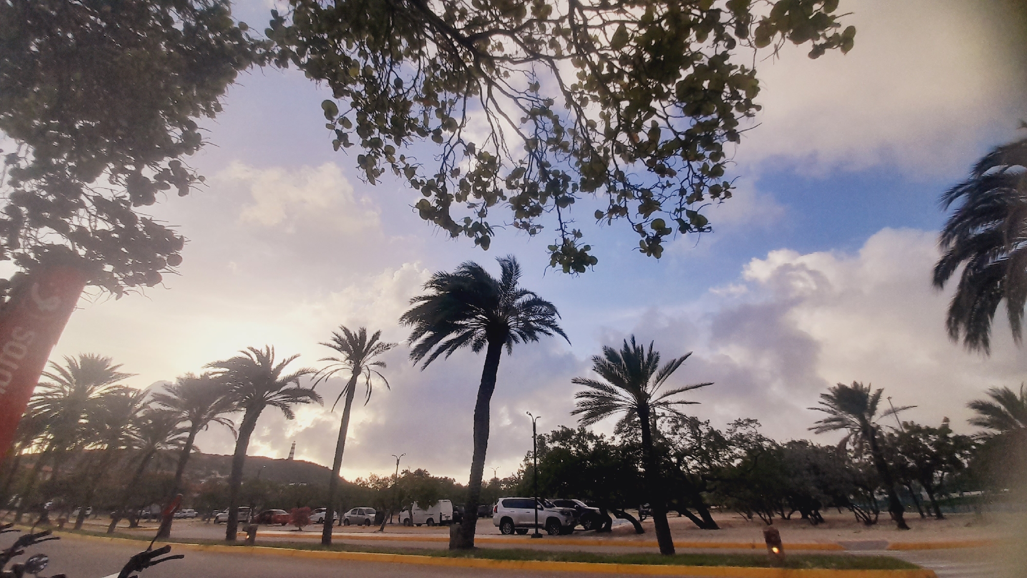 A low-angle, wide shot captures a palm-lined street near a beach in Pedro González, Venezuela, under a cloudy sky at sunset. The foreground features the edge of a road with yellow and orange markings, and hints of a motorcycle on the left. Several palm trees of varying heights dominate the middle ground, their fronds silhouetted against the sky. In the background, a lighthouse stands atop a hill, and a sandy area appears to be a parking lot with several vehicles, including white SUVs, a van, and cars. Trees and foliage line the background, obscuring the base of the hill. A red banner with white lettering is partially visible on the far left. The sky is a mix of pale blue, white clouds, and a soft orange glow indicating the setting sun.