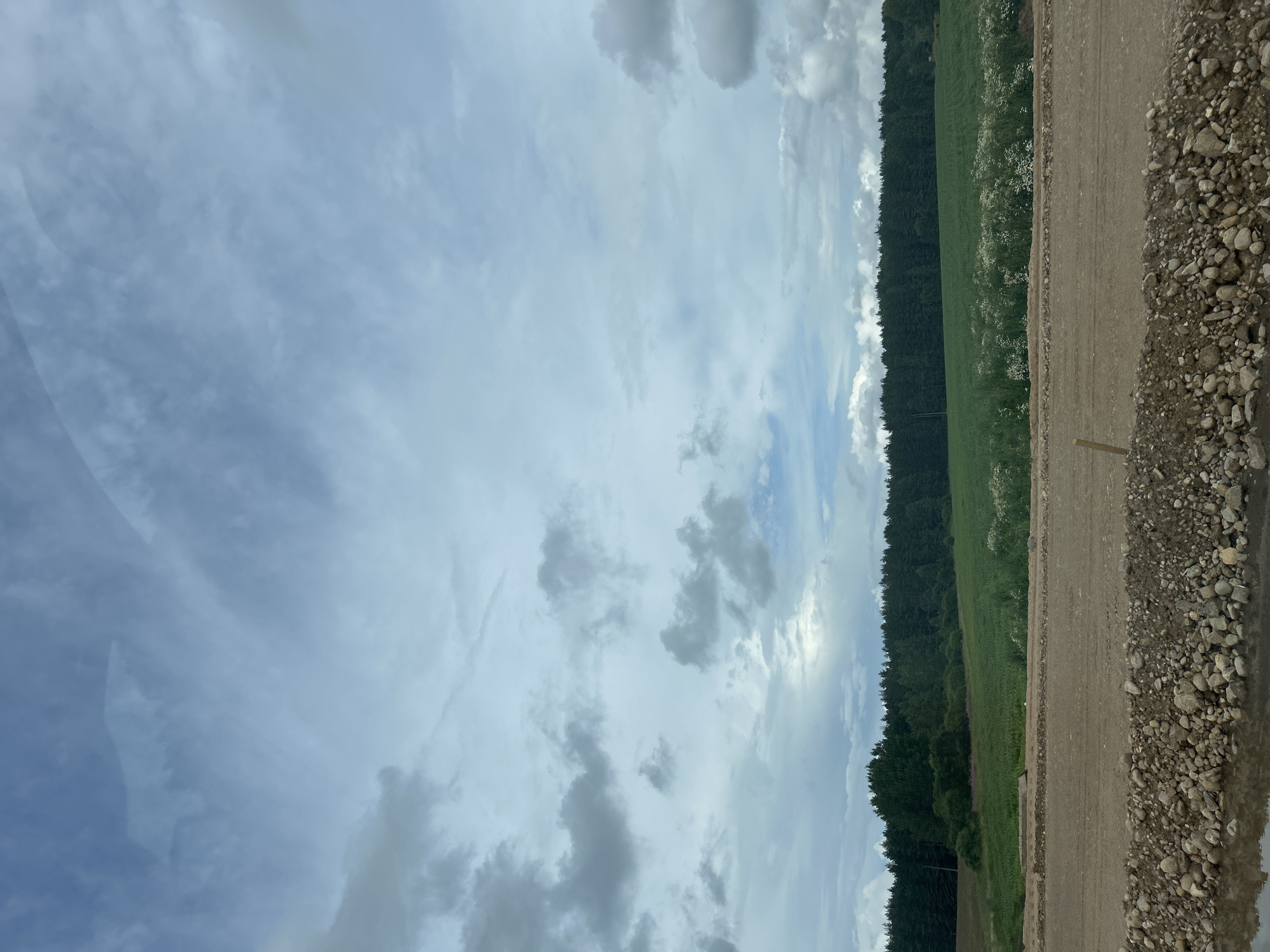 The image depicts a wide outdoor landscape in the Плешчаніцкі сельскі Савет, Belarus. In the foreground, a disturbed area of brown dirt and gravel forms a barrier, with a shallow pool of water visible at the lower left. A short wooden post stands embedded in the dirt. Behind this, a green field stretches horizontally, interspersed with white wildflowers. A dense line of dark green trees forms a treeline in the mid-ground. The sky above is a mix of light and dark gray clouds against a pale blue backdrop. No people are present in the image.