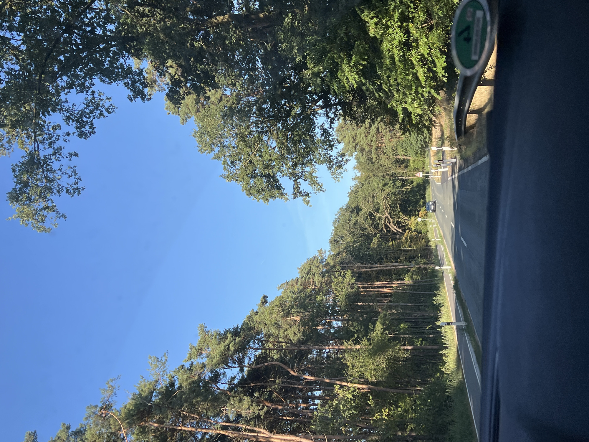 The image depicts a two-lane road with a dedicated bicycle path running alongside it, bordered by a dense forest on both sides. The road curves gently to the left in the distance. A silver car is visible on the road ahead. The sky is clear and blue. The scene appears to be a rural or suburban setting, possibly in a forested area. The perspective suggests the photo was taken from inside a vehicle. There are no people visible in the image.