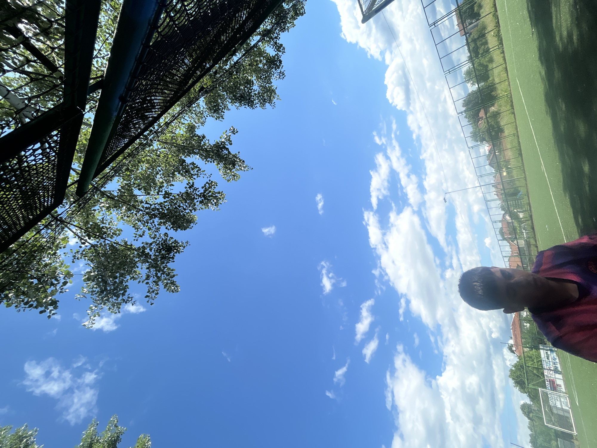 In a low-angle shot from a sports field, a young male is partially visible in the foreground, facing away from the camera. He wears a purple and pink t-shirt. Behind him, a green sports field stretches towards a chain-link fence, which encloses the area and separates it from a residential neighborhood with houses and trees. The sky above is a bright blue with scattered white clouds. The top portion of the image is dominated by the branches of trees and part of a dark mesh structure, possibly a netting or a fence for a sports facility. The scene appears to be outdoors on a sunny day.