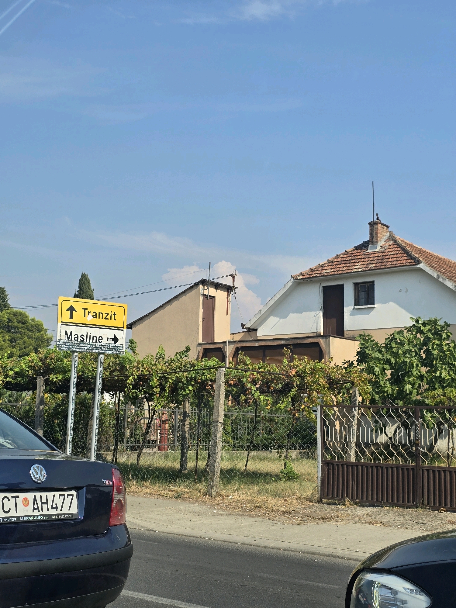 The image shows a street scene in Podgorica, Montenegro, on a sunny day. In the foreground, a dark blue Volkswagen car is partially visible on the left, with its license plate CT AH477 clearly legible. A portion of another car is visible on the right. In the middle ground, there is a yellow directional sign with black text and arrows. The top sign points upwards and reads "Tranzit". The bottom sign points to the right and reads "Masline". Below the directional signs are two metal poles with text printed vertically. Behind the signs, there is a fence covered in green vines. Further back, a two-story house with a red tiled roof and white and beige walls is visible. The house has a dark brown door and a small window on the upper floor. A tall, slender evergreen tree stands behind the directional signs, and other trees and foliage are present in the background. The sky is blue with scattered clouds.