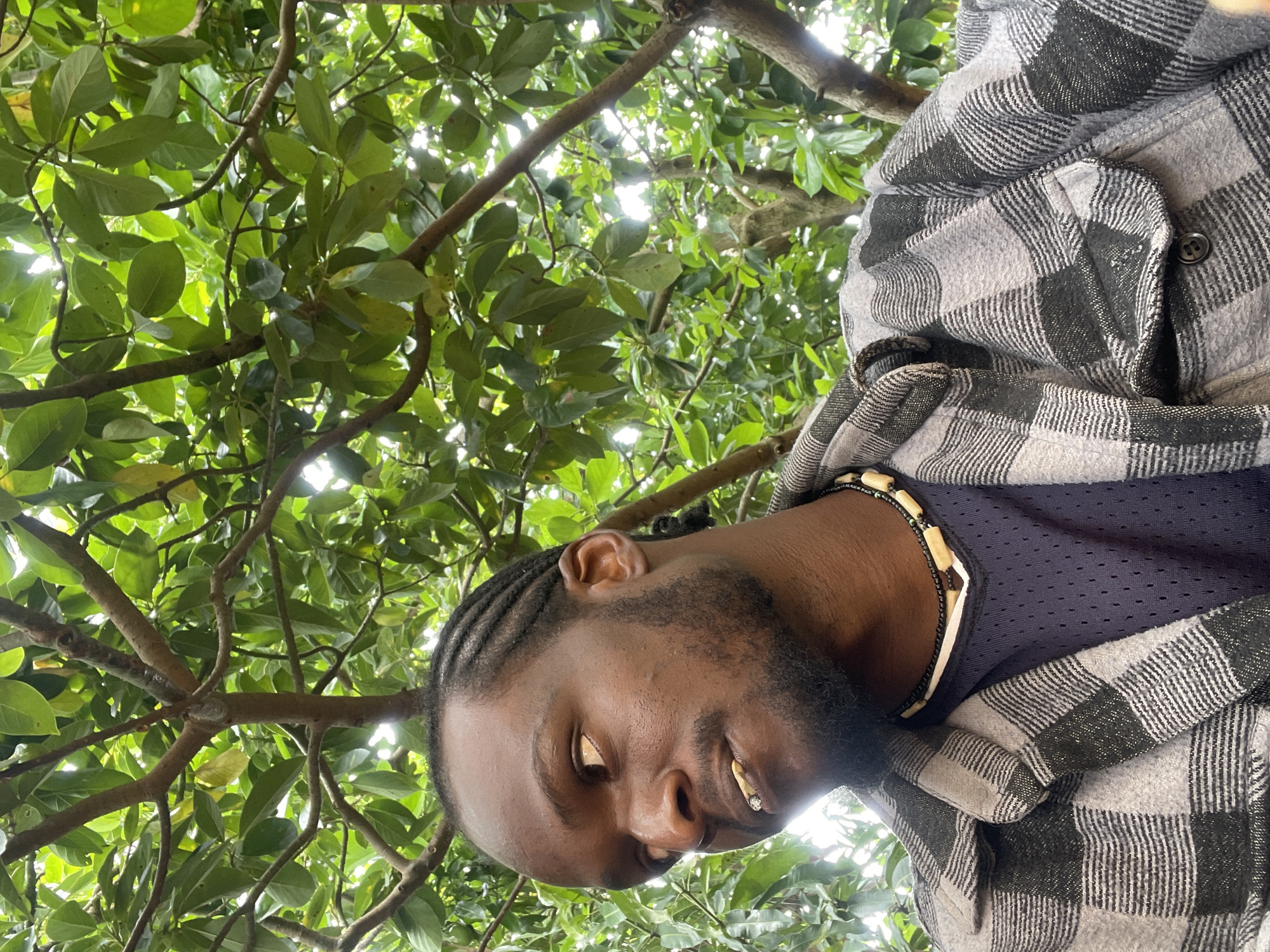 The image captures a close-up, low-angle portrait of a man looking downwards towards the camera from beneath a dense tree canopy. The man has dark skin, braided hair, a beard, and a subtle mustache. A gold tooth or grill is visible on his lower right incisor, adding a distinctive detail to his appearance.
He is wearing a dark blue, mesh-textured shirt underneath a thick, grey and black plaid flannel shirt or jacket. Around his neck, he wears a beaded necklace made of alternating black and light-colored, possibly bone or wooden, cylindrical beads. His expression is relaxed, with a hint of a subtle smile.
The background consists entirely of lush green leaves and tree branches, with bright sunlight dappling through the foliage, indicating an outdoor setting during daytime with sunny weather. The perspective suggests the photo was taken from directly below, looking up into the tree and at the man. This natural setting is located in Jos, Nigeria. No visible text is present in the image.