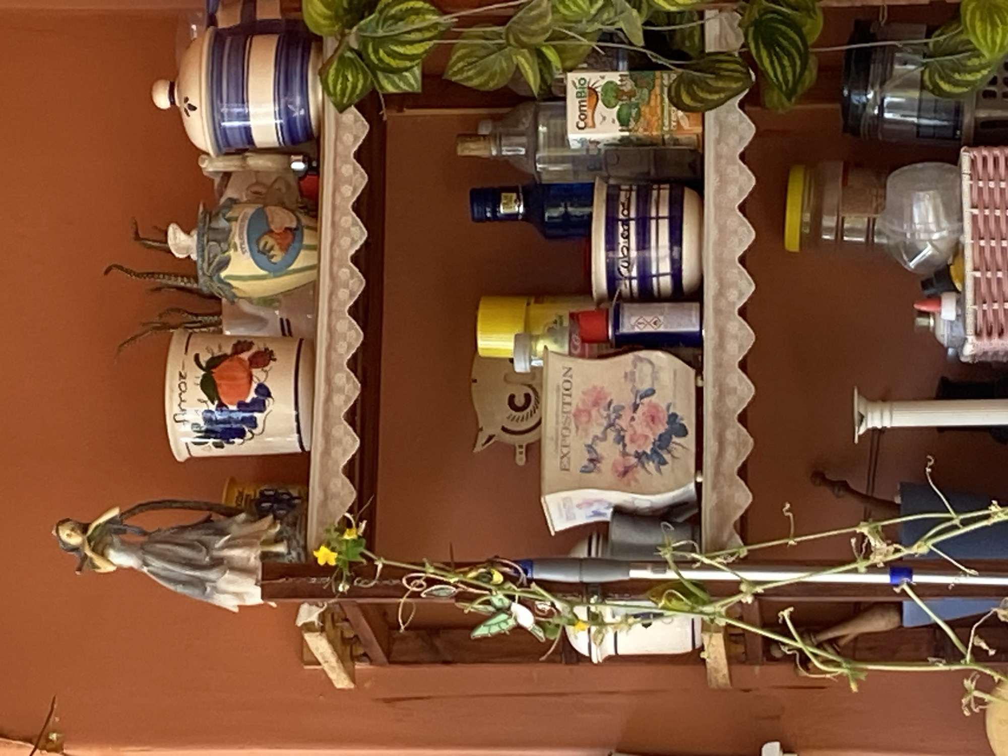 This is a medium shot of a terracotta-colored wall featuring a set of wooden shelves filled with various decorative objects and containers. The shelves are adorned with white scalloped trim.
On the top shelf, from left to right, there is a ceramic figurine of a woman in a blue and white dress holding a cane, a white ceramic jar with a pumpkin illustration and the word "Amor" inscribed, a decorative jar with a lid featuring a rabbit, and a blue and white striped ceramic jar with a lid.
The middle shelf displays a white ceramic canister with a butterfly and floral design and the text "Exposition," a yellow spray can, a blue glass bottle, a clear glass bottle, and a small carton labeled "ComBio." A decorative string of green leaves with yellow flowers hangs from the left side of the shelves.
The bottom shelf holds a white ceramic canister, a blue and white striped ceramic pot, and several clear glass containers with yellow lids. To the right, a potted plant with large, patterned green leaves is visible.
The overall environment appears to be indoors, possibly a home or a shop, given the display of decorative items. The lighting suggests a natural light source, possibly from a window. There are no people visible in the image.
The image is a still photograph, capturing a static arrangement of objects. There are no discernible actions or interactions occurring. The scene is well-lit, allowing for clear observation of the details of the objects on the shelves.