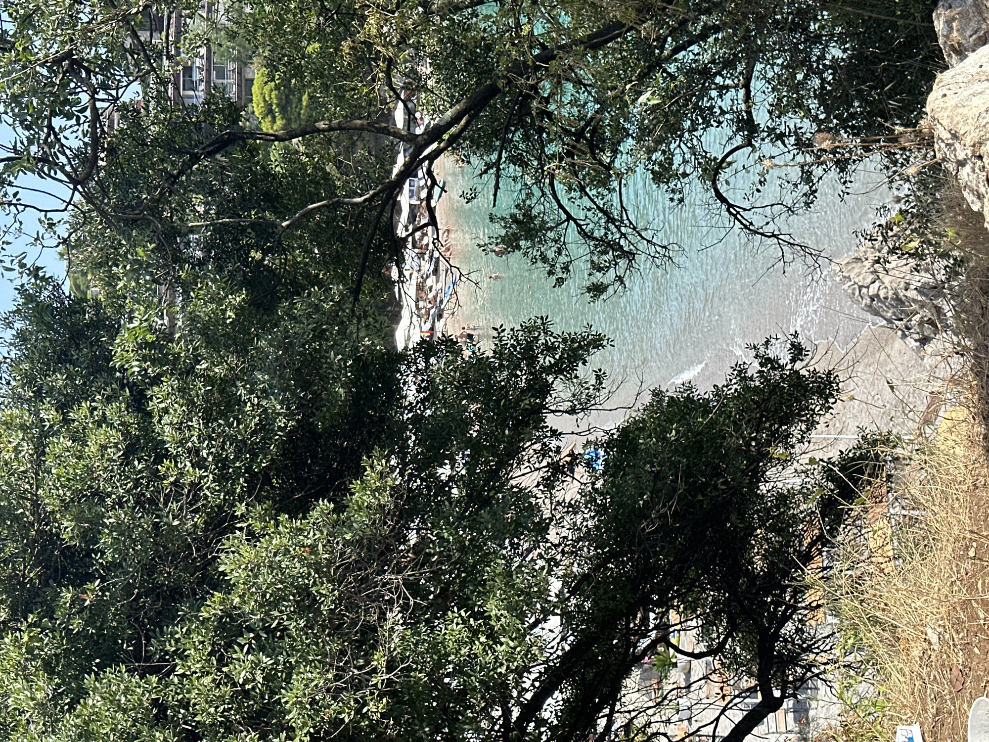 The image captures a view of a sunlit beach with clear turquoise water, as seen through a frame of lush green trees. In the distance, a building with multiple balconies, likely a hotel or resort, is visible on a hillside. The beach itself is lined with rows of white beach umbrellas and lounge chairs. Several people are present, with some wading in the shallow water and others relaxing on the beach. The foreground shows dry, brown grass and rocks, suggesting a natural, slightly wild environment overlooking the more developed beach area. The scene appears to be in Budva, Montenegro, given the characteristic Adriatic coastline and vegetation.