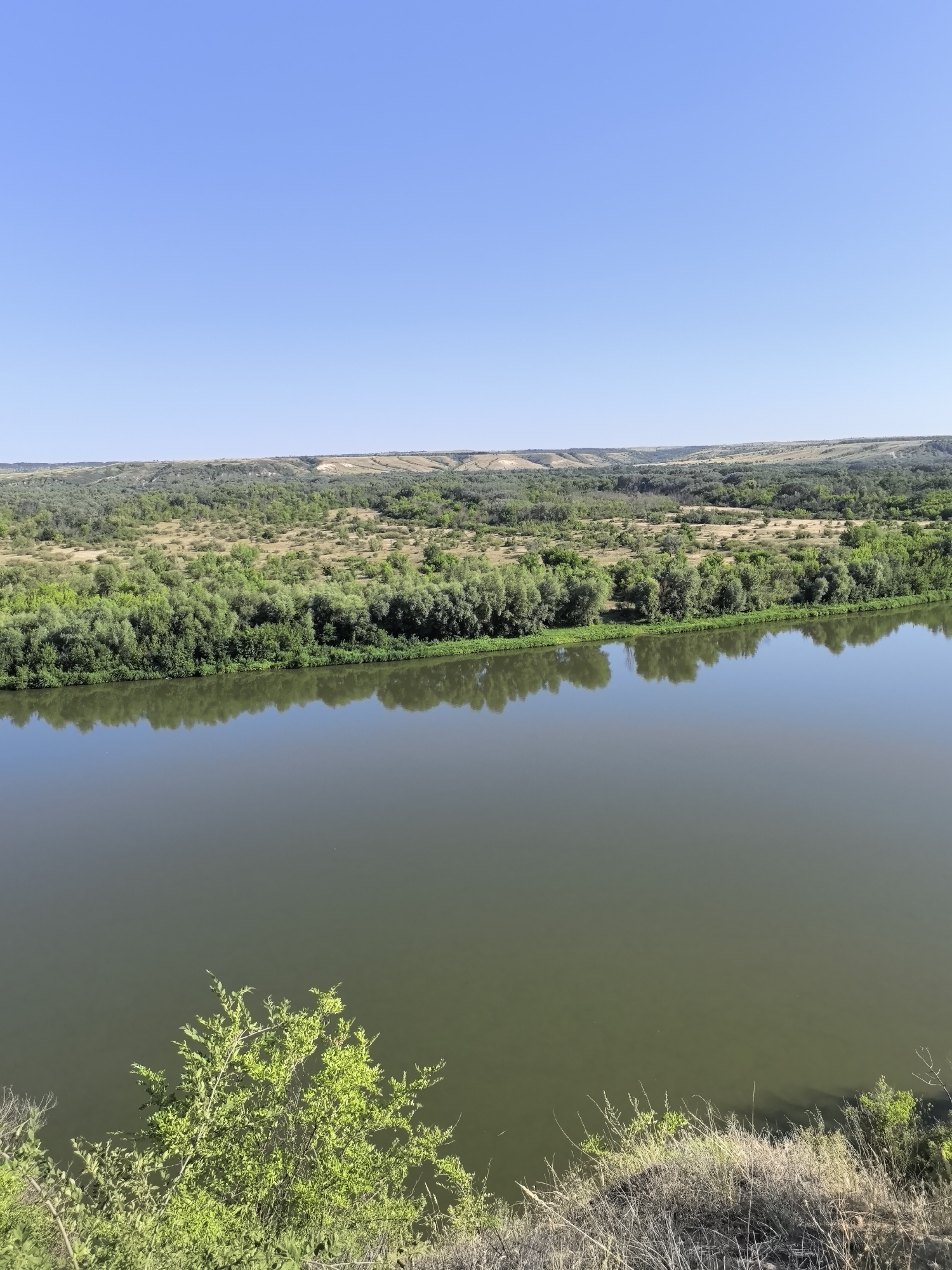 An aerial, high-angle shot captures a vast, calm river reflecting the clear, bright blue sky. The river dominates the lower two-thirds of the image, its surface smooth and undisturbed, creating a mirror-like effect. On the opposite bank, a dense, vibrant green line of trees stretches horizontally across the frame, their reflections clearly visible in the water. Beyond the trees, rolling hills covered in a mix of green foliage and dry, yellowish grass recede into the distance, eventually meeting the horizon under the expansive sky. The foreground, in the bottom left, shows a patch of dry, brown grass and a few green bushes, suggesting a slightly elevated vantage point overlooking the river. The scene is devoid of human presence or any signs of human activity, presenting a serene and natural landscape.