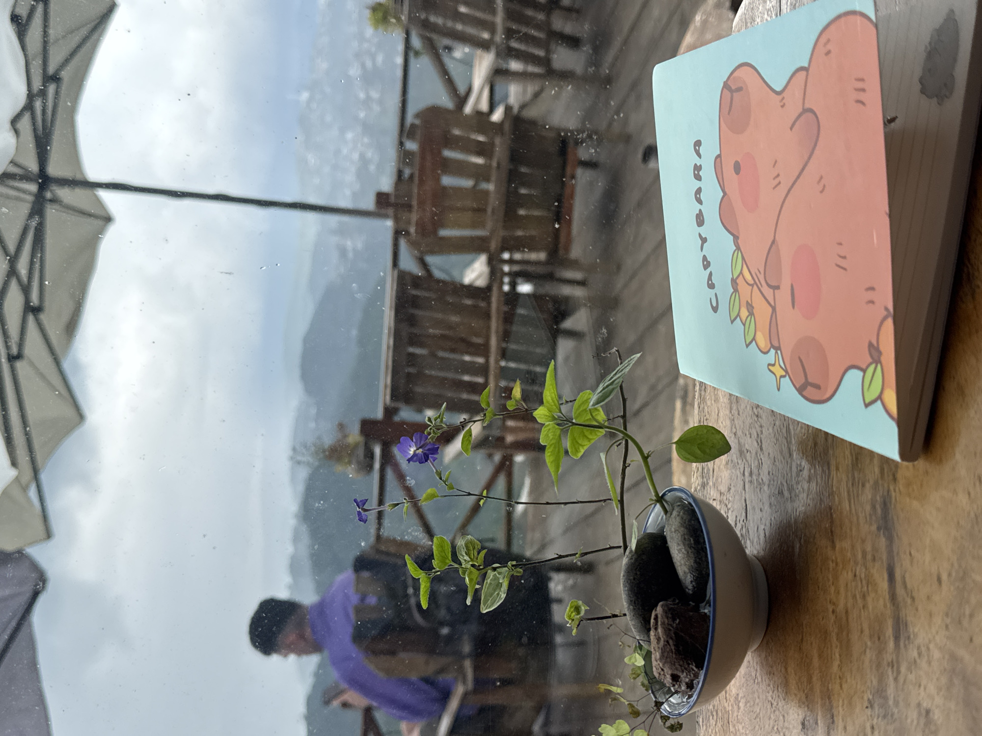 The image depicts a table setting at an outdoor cafe with a view of a hilly landscape under a cloudy sky. In the foreground, on a wooden table, rests a light blue notebook with a drawing of two capybaras and the word "CAPYBARA" printed on its cover. To the left of the notebook, a small white bowl contains a few dark, smooth stones and is adorned with a small plant featuring delicate purple flowers and green leaves. Behind the table, several wooden chairs are arranged on a wooden deck, overlooking a valley with houses. A person wearing a purple shirt is seated in one of the chairs, looking at their phone. The overall atmosphere suggests a relaxed setting, possibly in Xuân Thành, Vietnam, given the context.