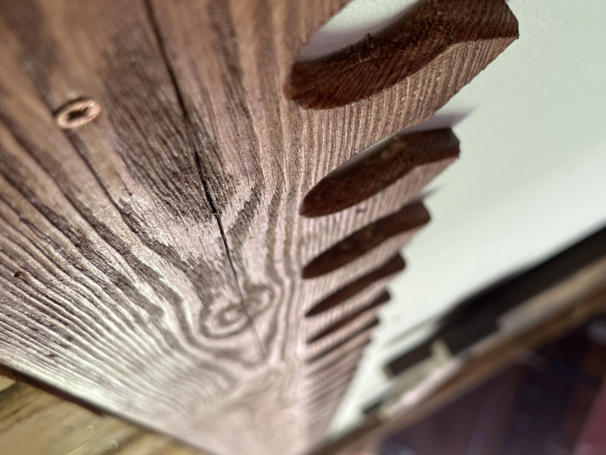 The image displays a close-up, angled view of a wooden rack with multiple carved notches, designed to hold objects. The wood grain is prominent, showing texture and a swirl pattern. A single screw is visible on the upper surface of the rack. The rack appears to be mounted against a white wall. The depth of field is shallow, with the foreground in sharp focus and the background blurred. The lighting casts shadows that highlight the carved notches. There are no people or animals present in the image. The location is identified as Norviliškės, Lithuania.