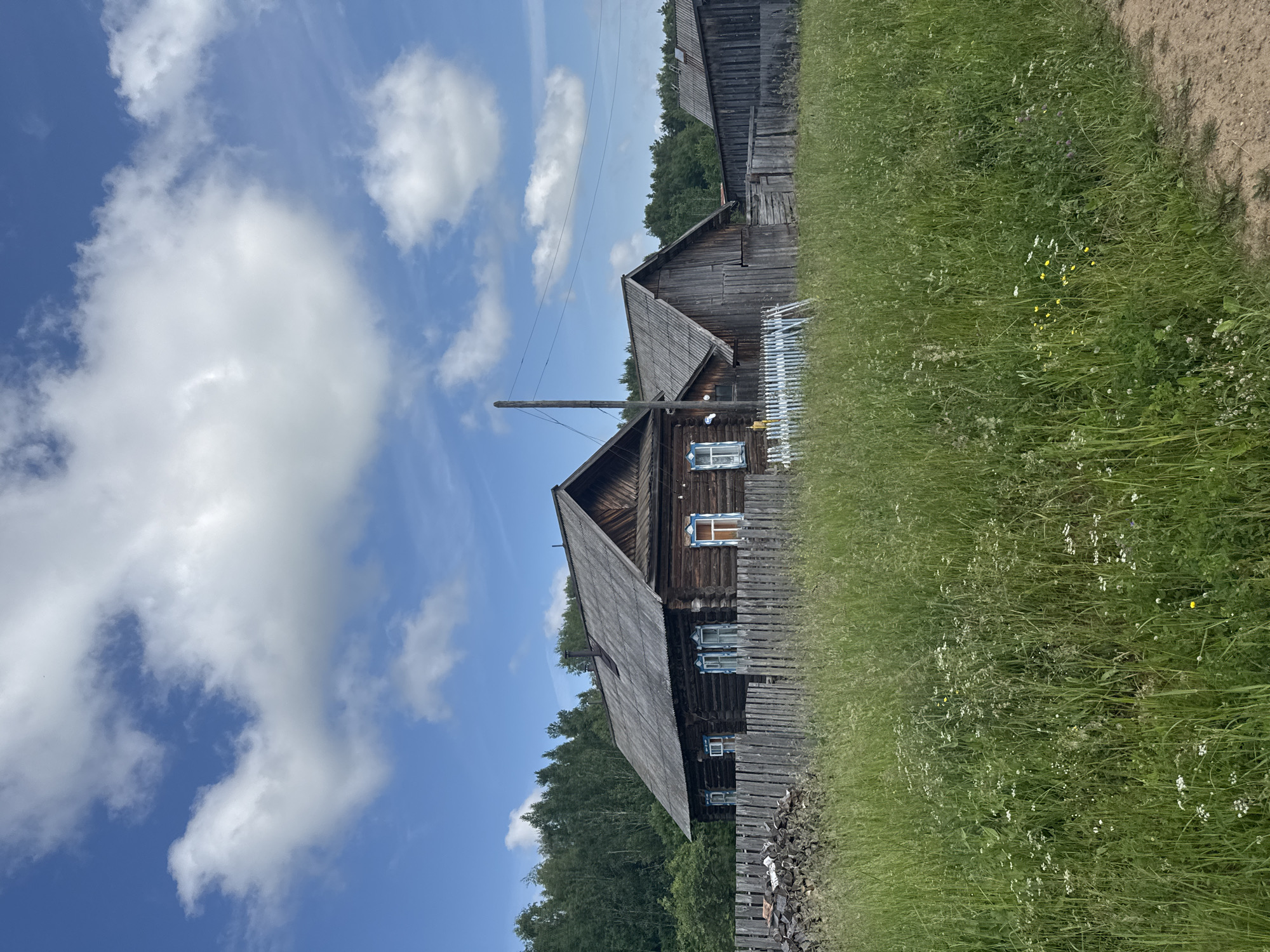The image depicts a rural scene in the village of Vas'yata, Russia, under a bright blue sky with scattered white clouds. In the foreground, tall green grass, interspersed with small white and yellow wildflowers, stretches across the frame. A weathered wooden fence runs horizontally through the midground, separating the grassy field from the buildings beyond.
To the left of the fence, a pile of chopped firewood is stacked. The main subject of the image is a traditional Russian izba, or wooden log house, with a dark, weathered appearance and a grey, corrugated roof. The izba has several windows with blue trim. Adjacent to the main house is a smaller wooden structure, also with a grey roof, and further to the right, another wooden building is visible. A wooden utility pole with overhead wires stands near the house. The background consists of a dense line of green trees. The overall impression is one of a rustic, quiet countryside setting.