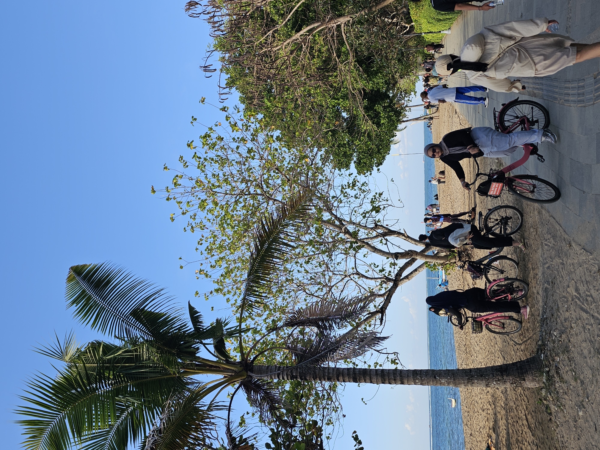This is a photograph taken on a sunny day at a beach in Denpasar, Indonesia. A paved walkway runs along the sand, which is dotted with people engaged in various activities. Several individuals are seen cycling on the walkway, with two women on pink and black bicycles in the foreground. One woman on a pink bicycle is looking to the side, while the other on a black bicycle is facing away from the camera. A third person in a light-colored jacket is walking away from the viewer on the walkway.
Further down the walkway and on the beach, other people are walking and some are sitting. A palm tree stands tall to the left of the frame, its fronds extending towards the clear blue sky. Behind the beach, the calm ocean stretches out, with a small boat visible in the distance. Lush green trees line the edge of the walkway, providing shade and a natural backdrop to the scene. The overall atmosphere suggests a leisurely day at the beach, with a mix of recreational activities taking place.